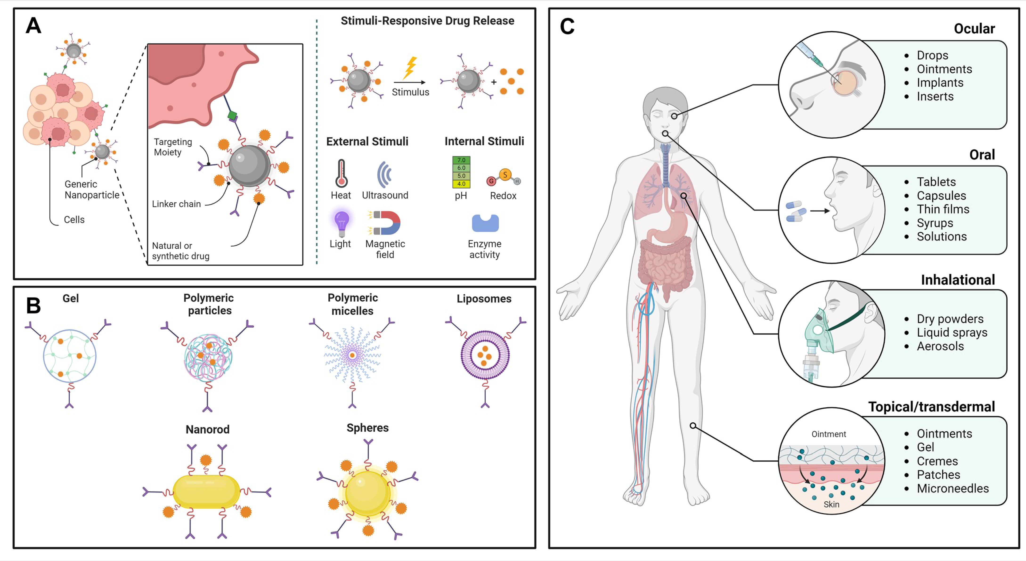 Plants 13 01584 g005