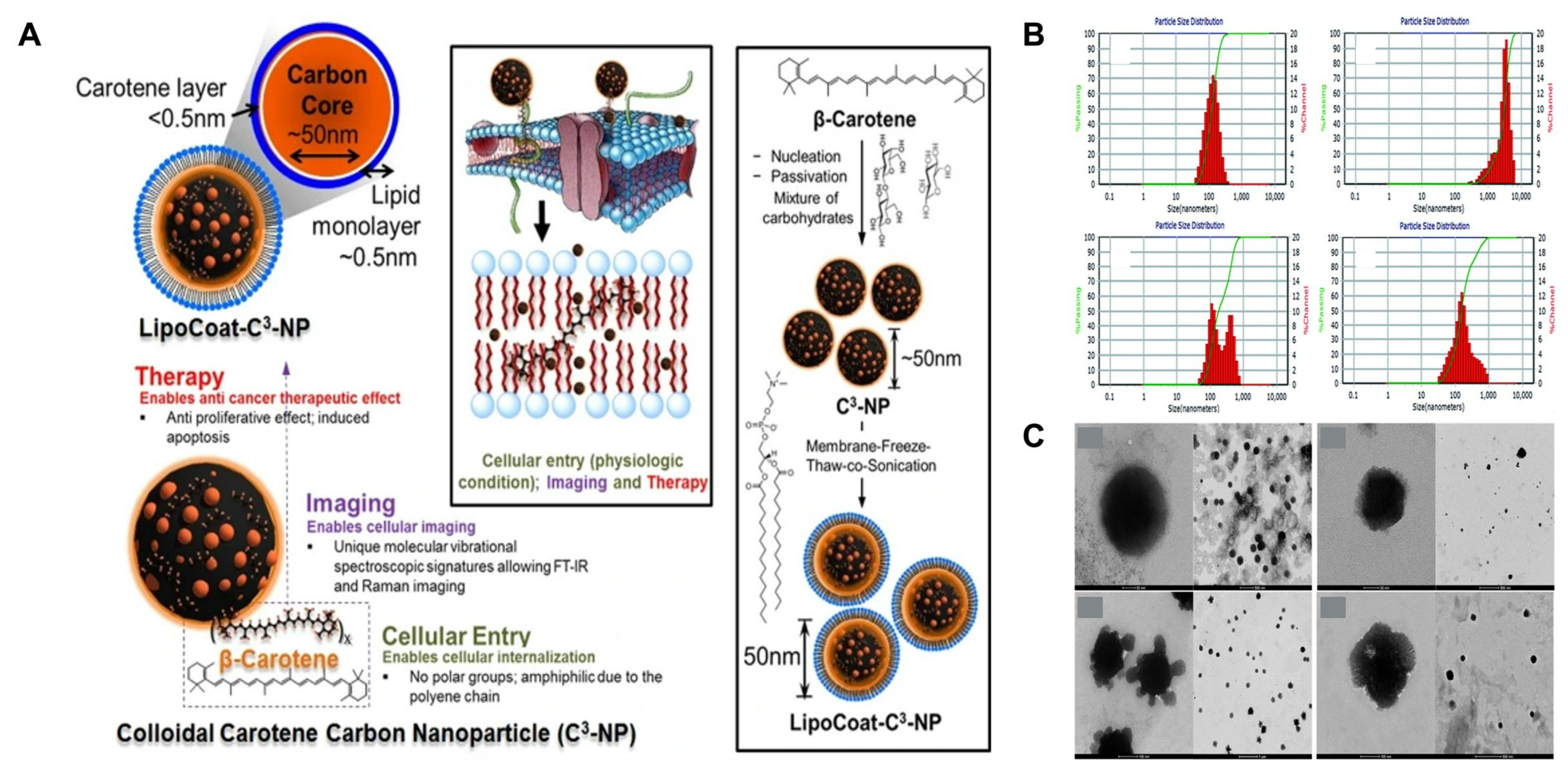 Plants 13 01584 g006