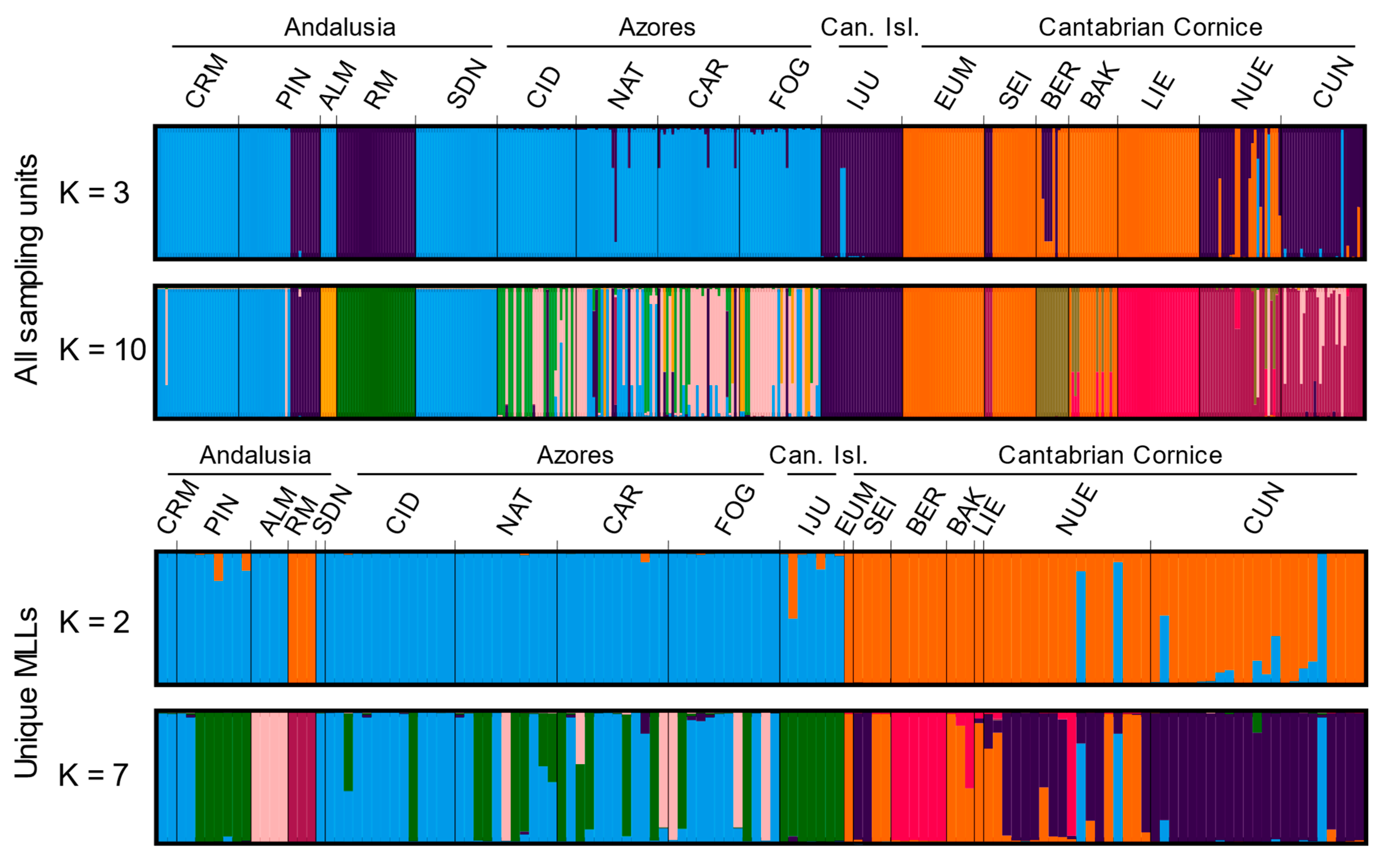 Plants 13 01587 g003