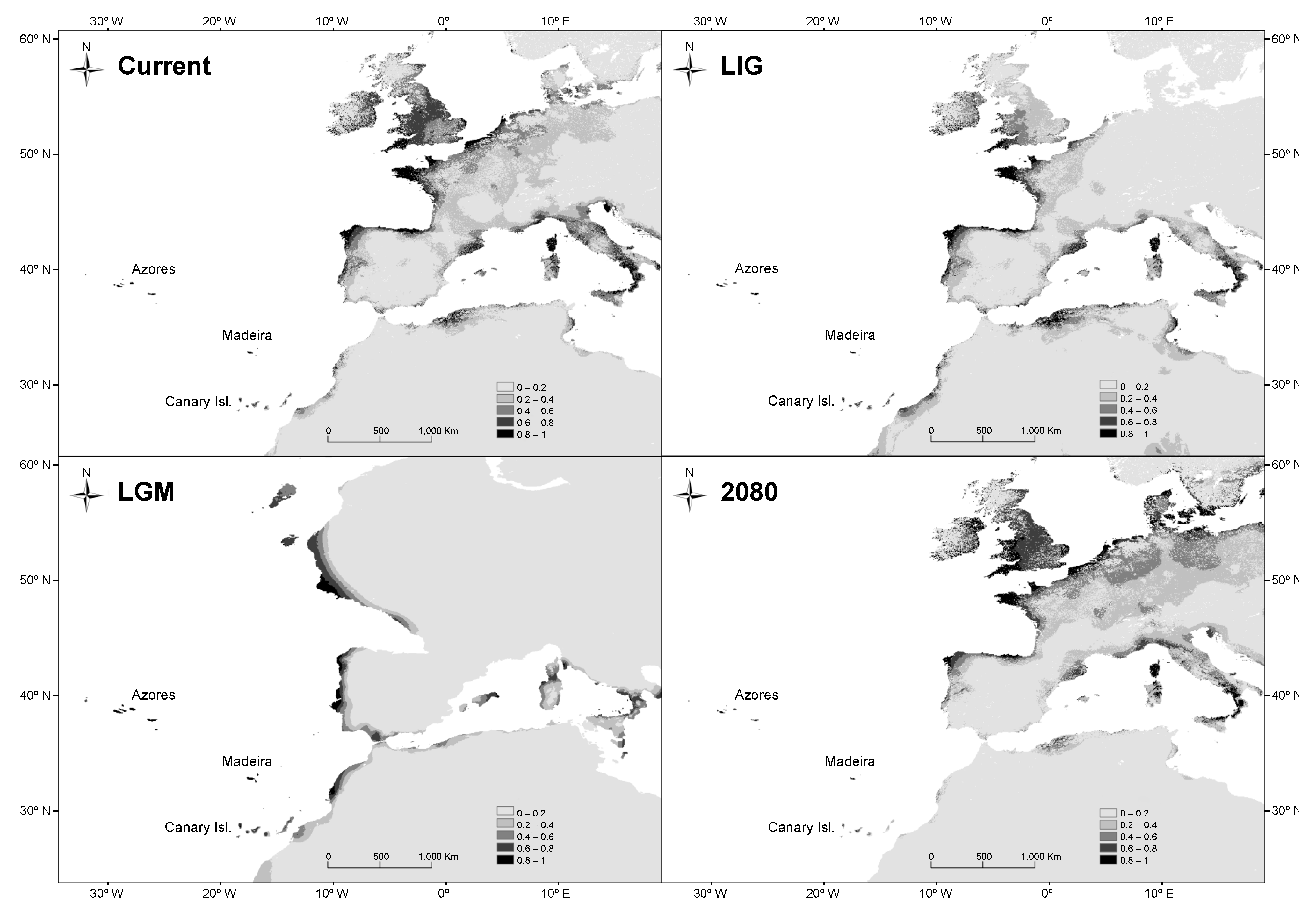 Plants 13 01587 g006