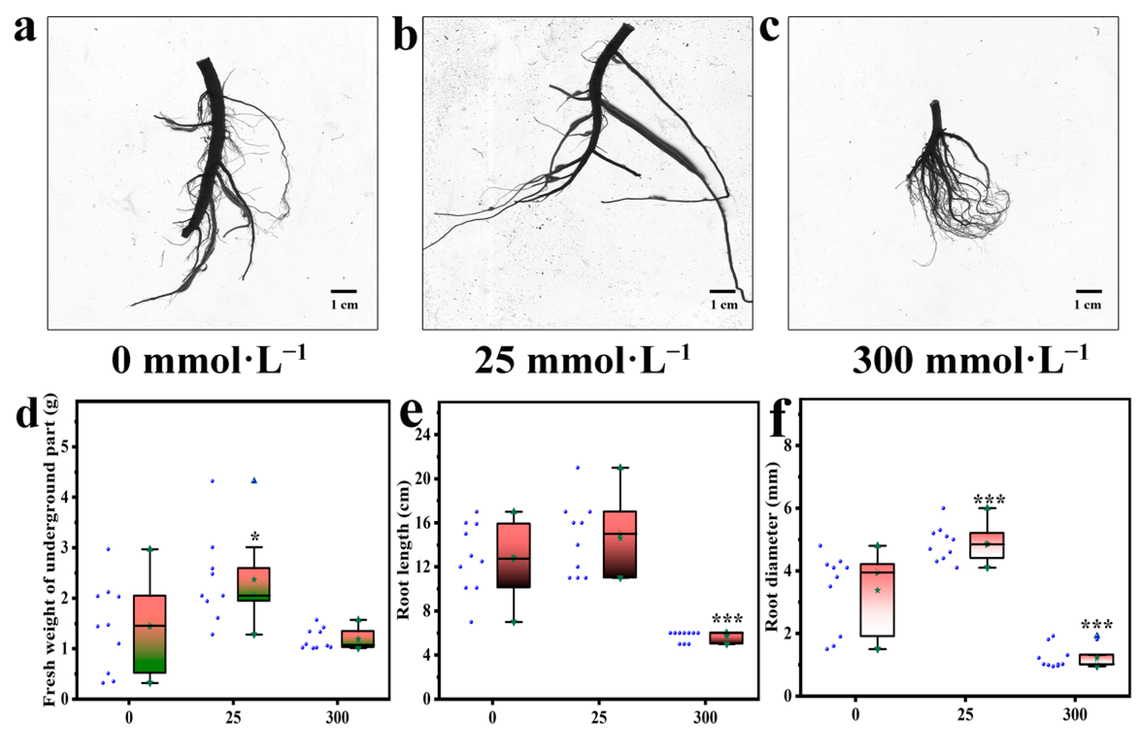 Plants 13 01593 g002