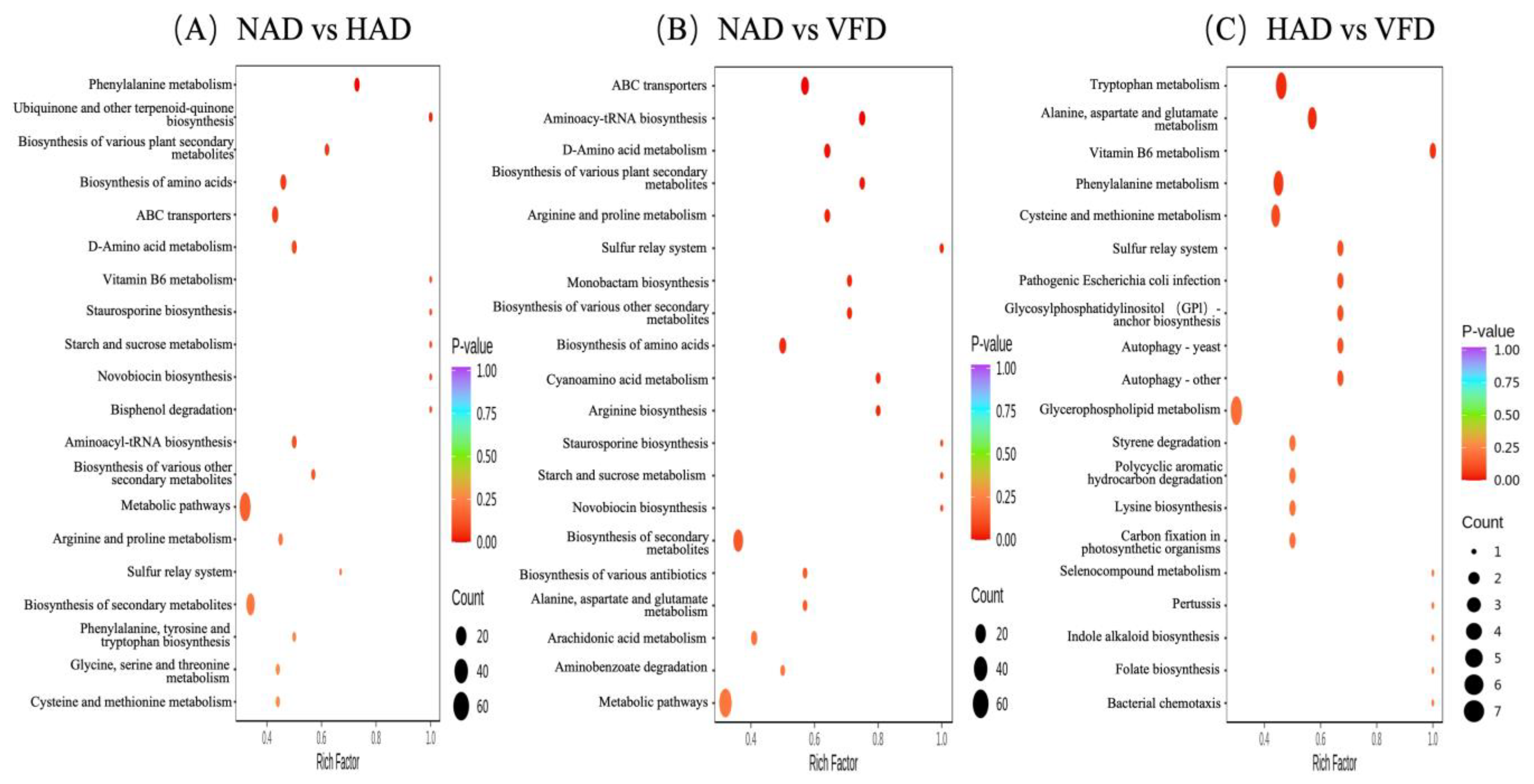 Plants 13 01594 g007