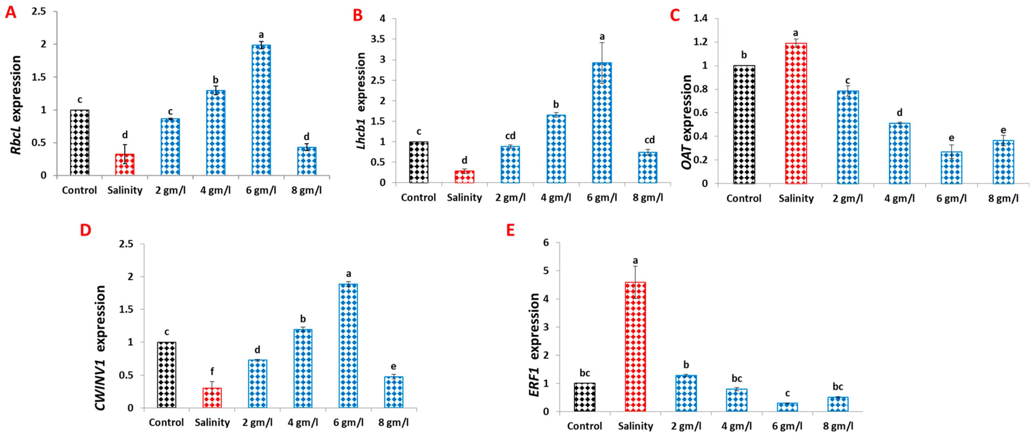 Plants 13 01596 g008