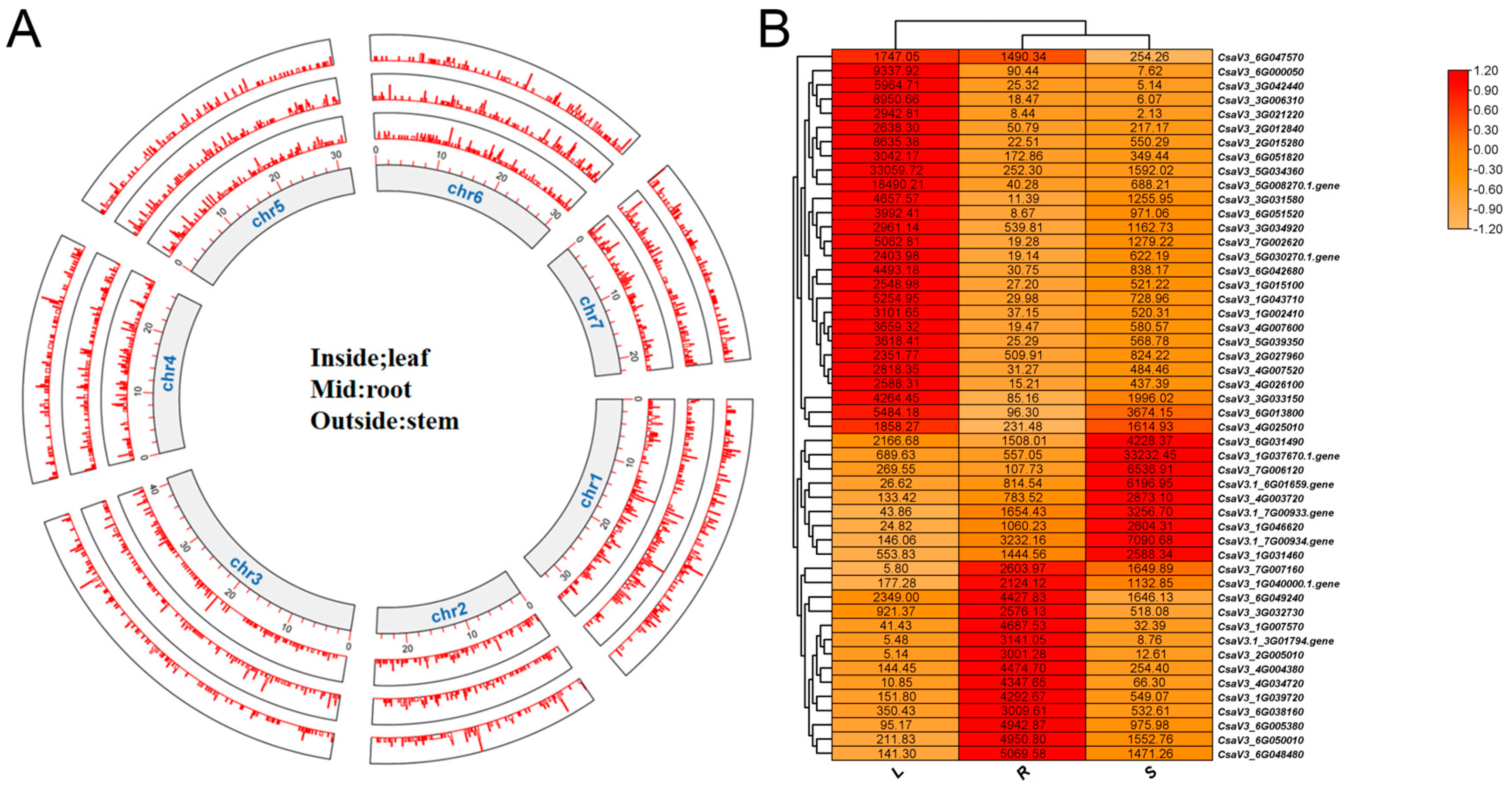 Plants 13 01604 g005