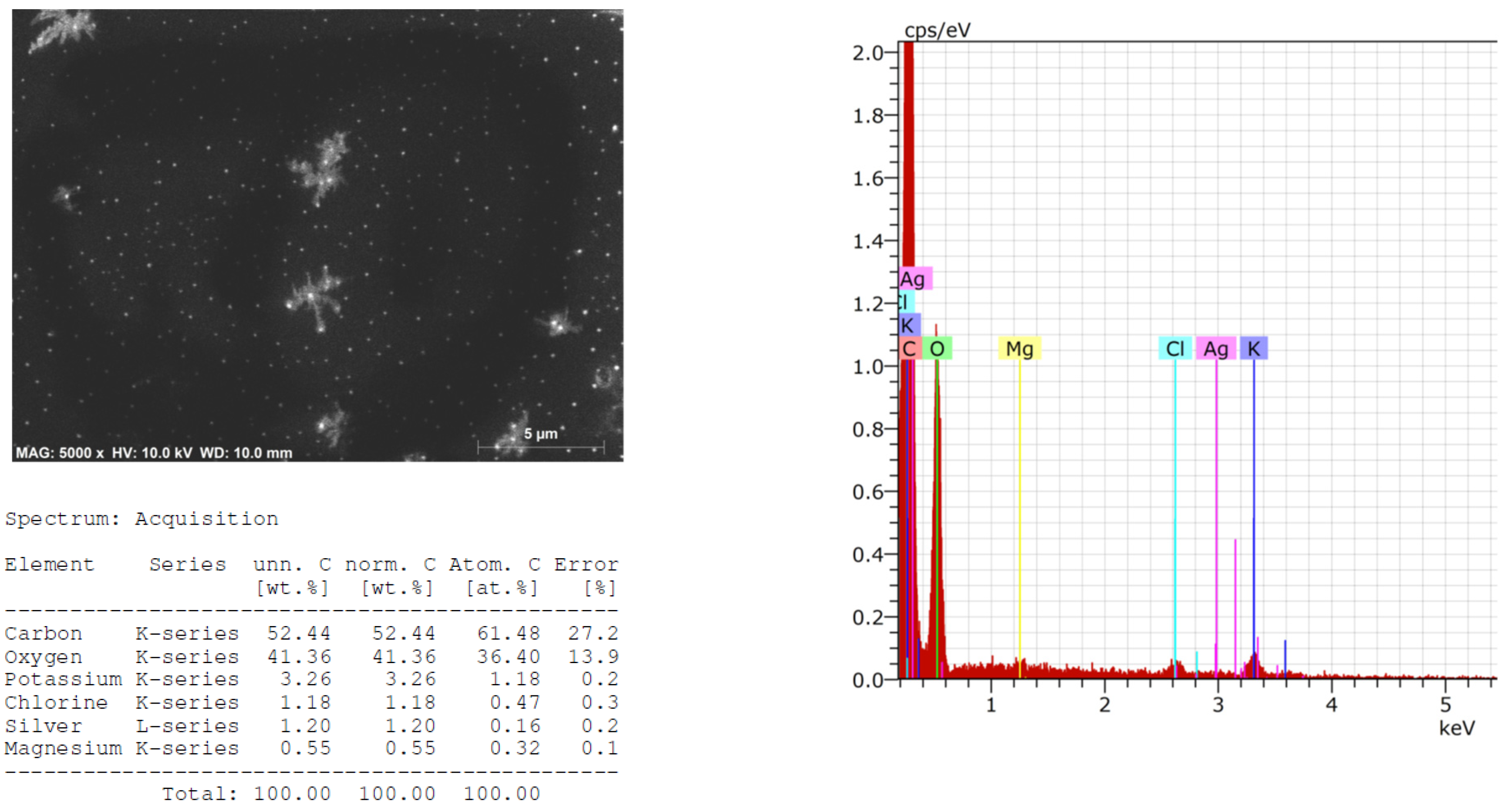 Plants 13 01611 g003