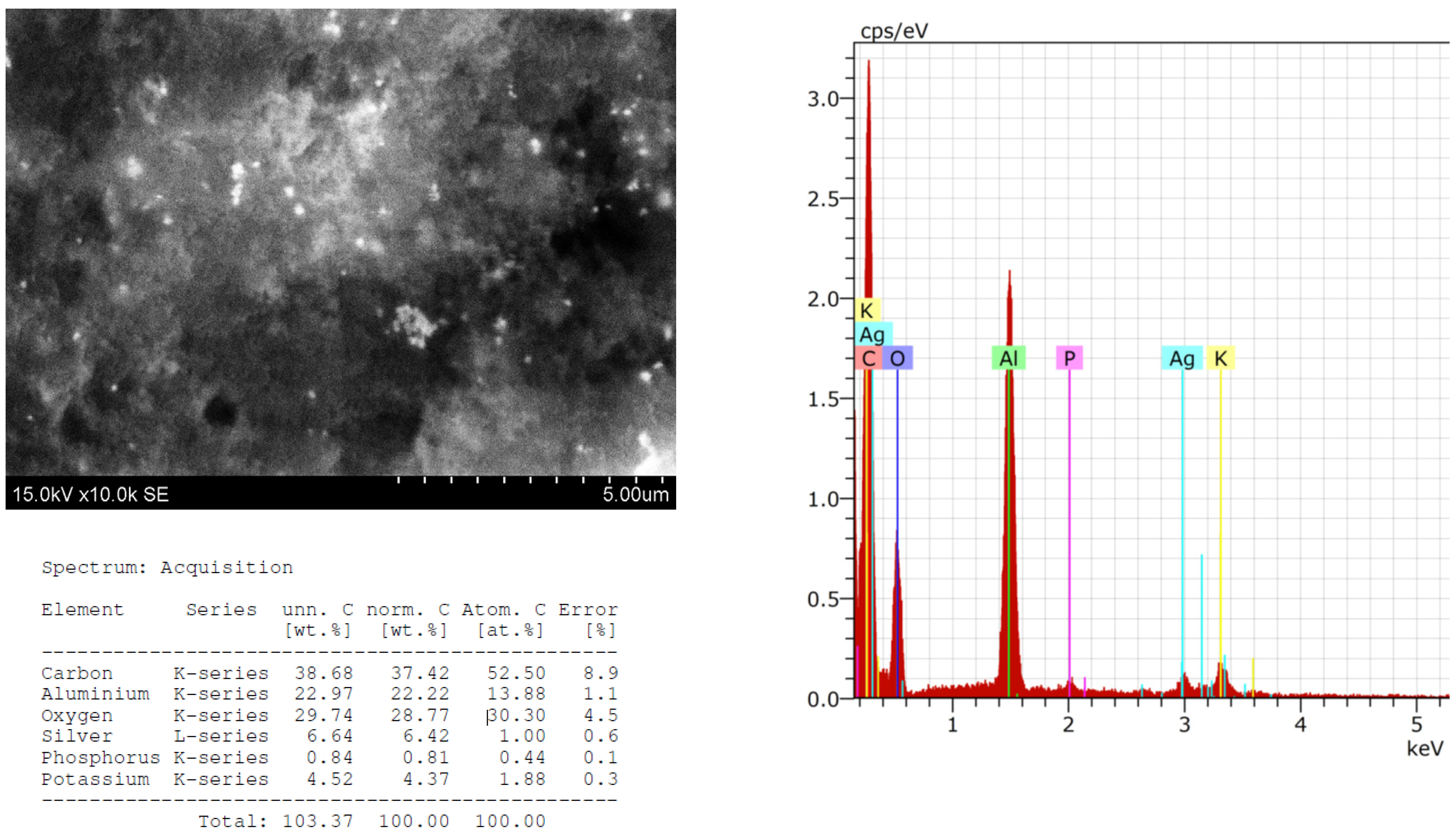 Plants 13 01611 g004