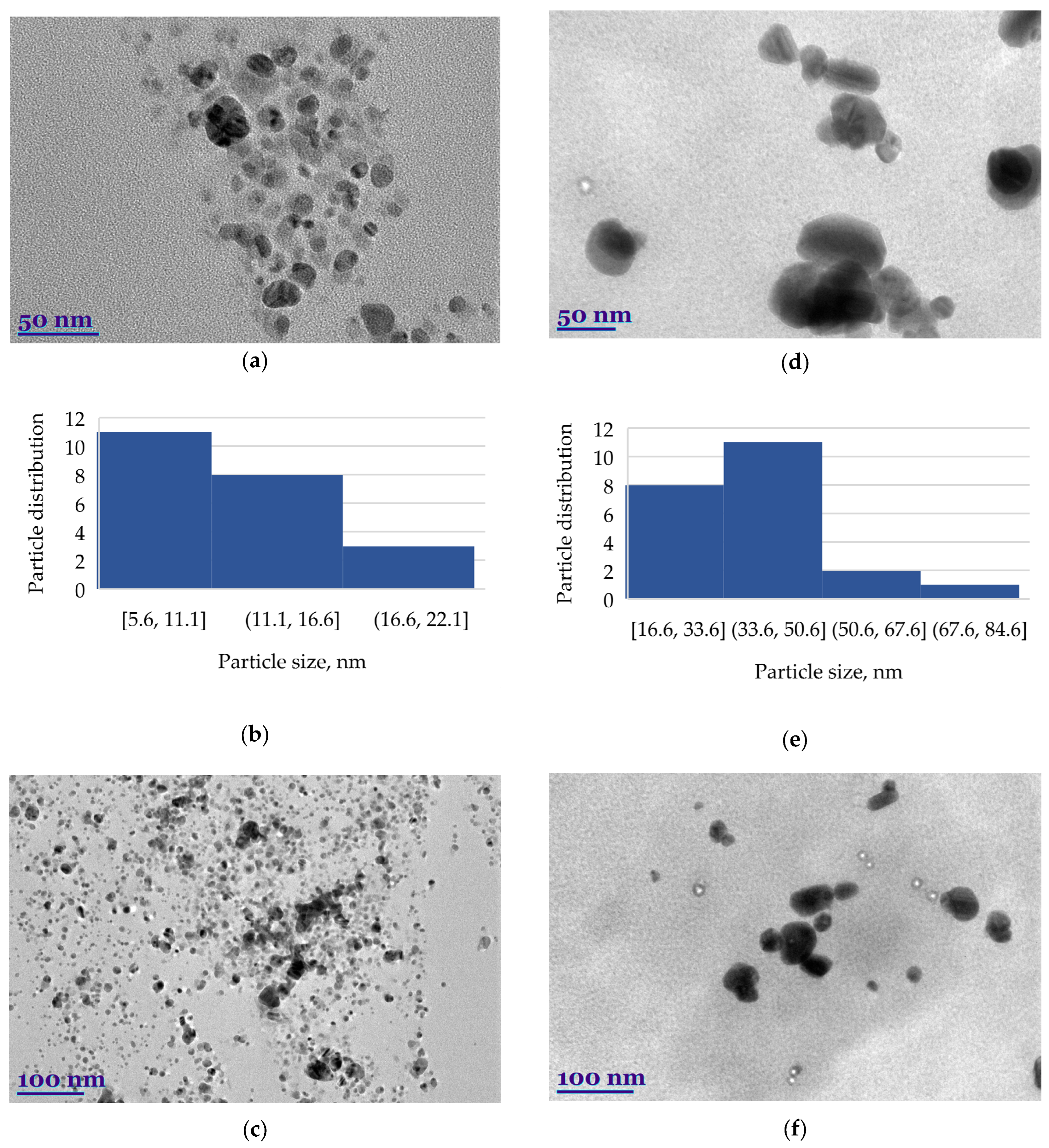 Plants 13 01611 g005