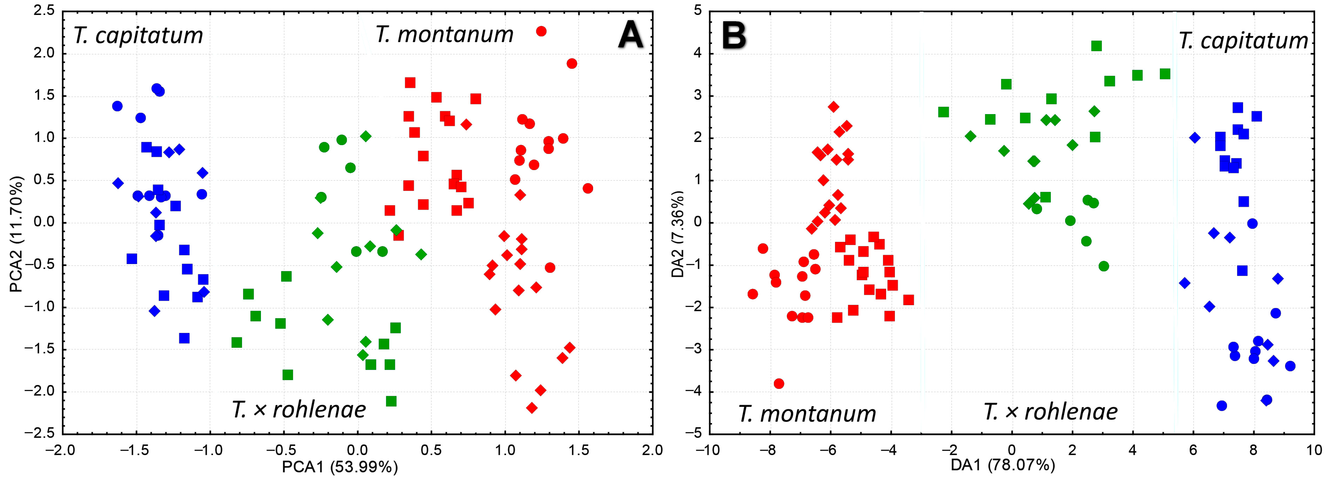 Plants 13 01617 g001