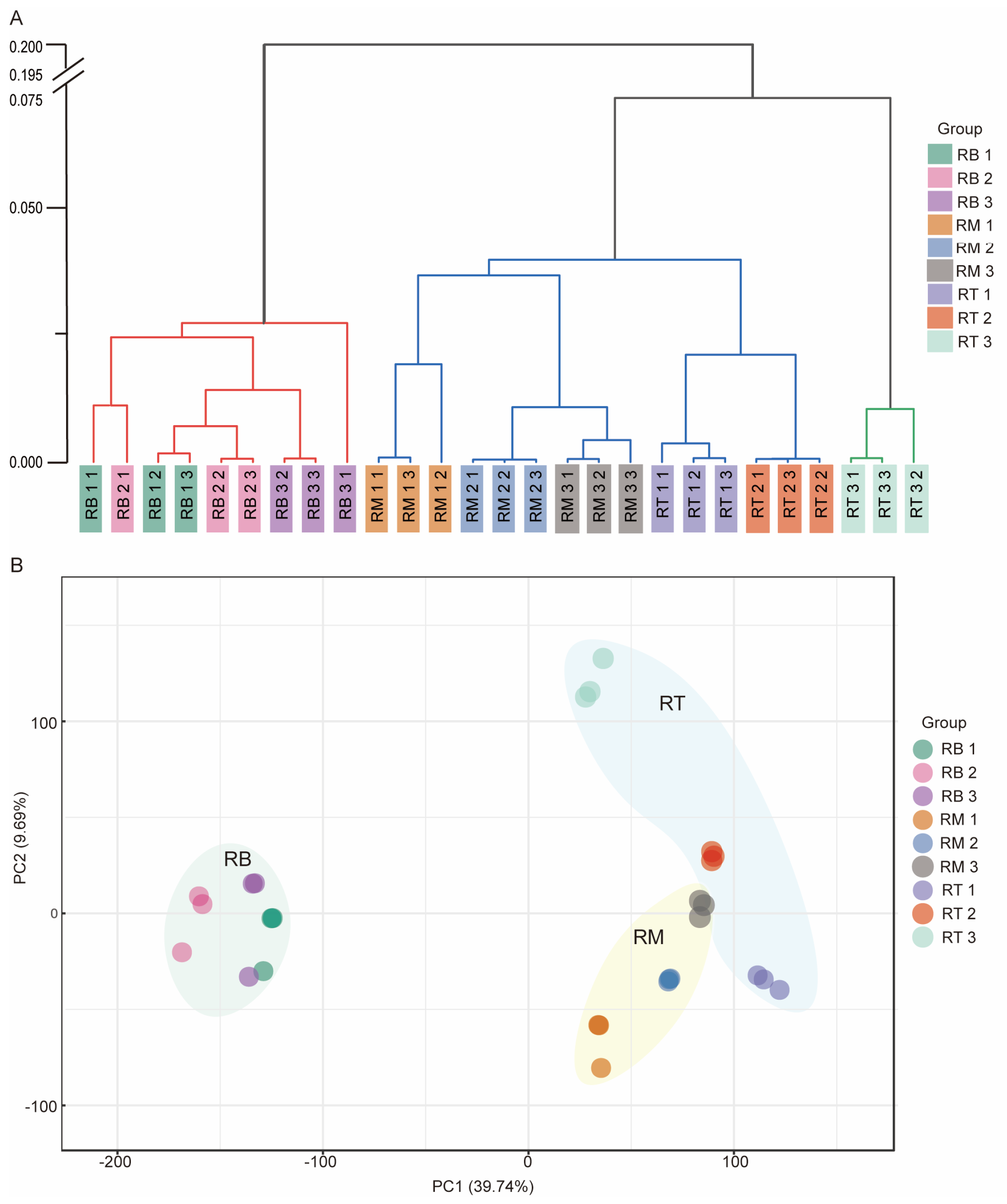 Plants 13 01620 g003