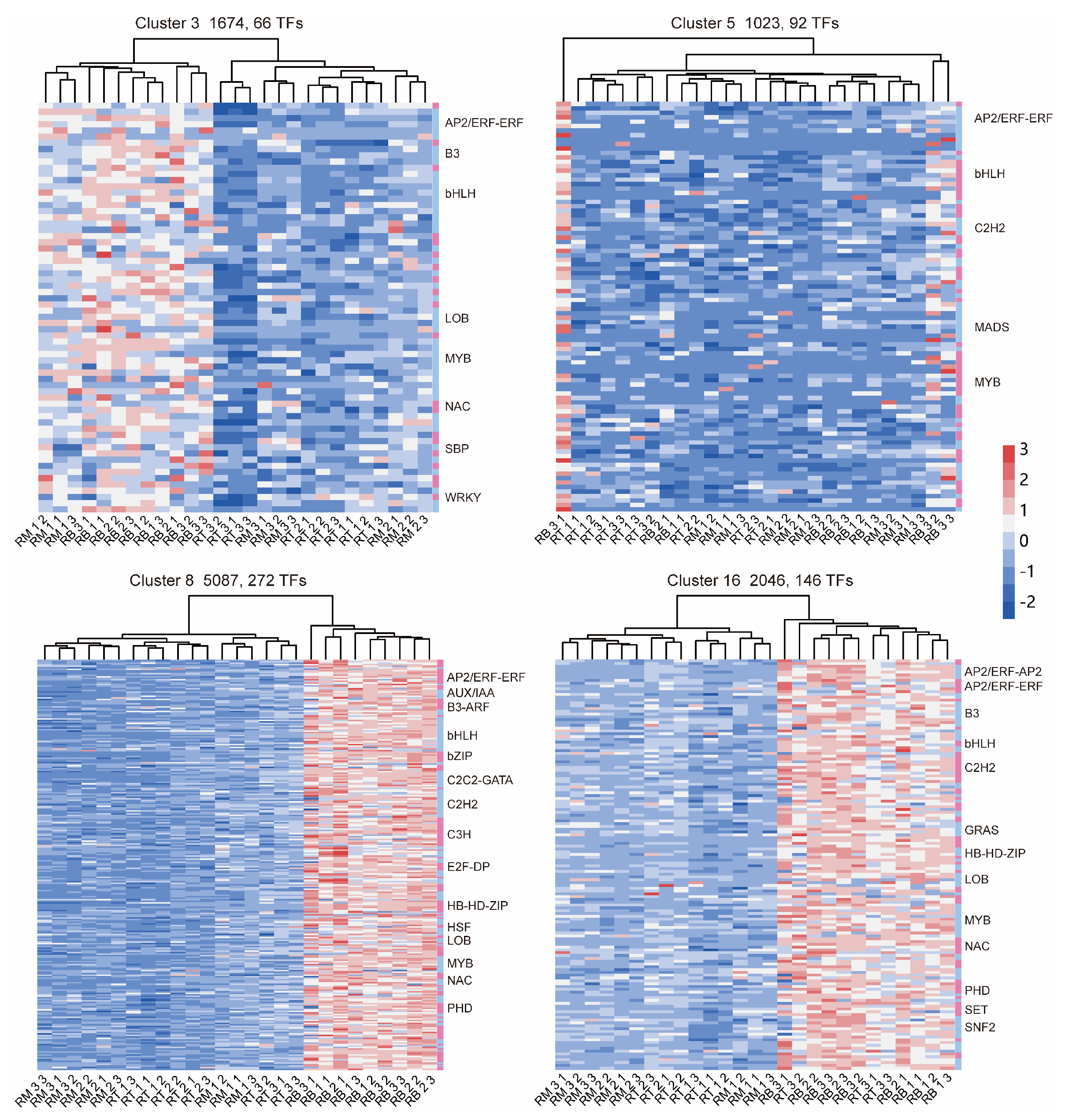 Plants 13 01620 g006