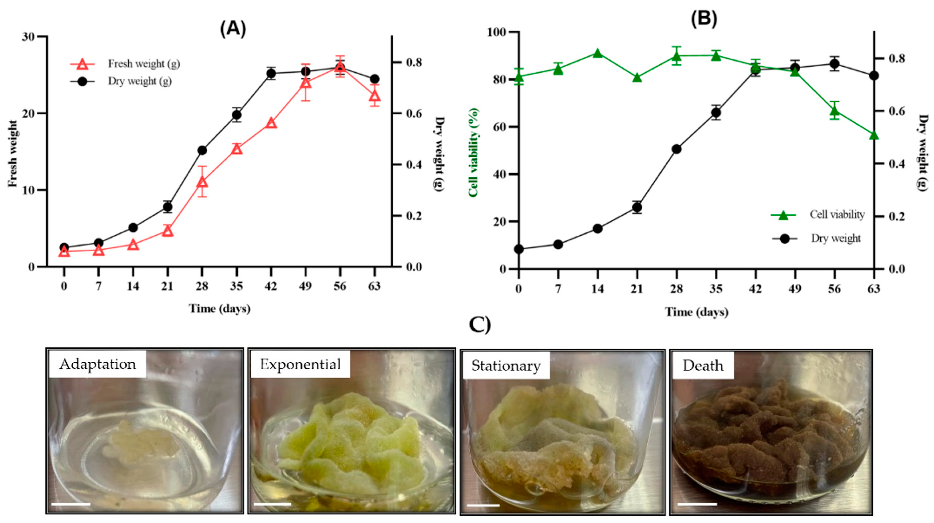 Plants 13 01622 g003