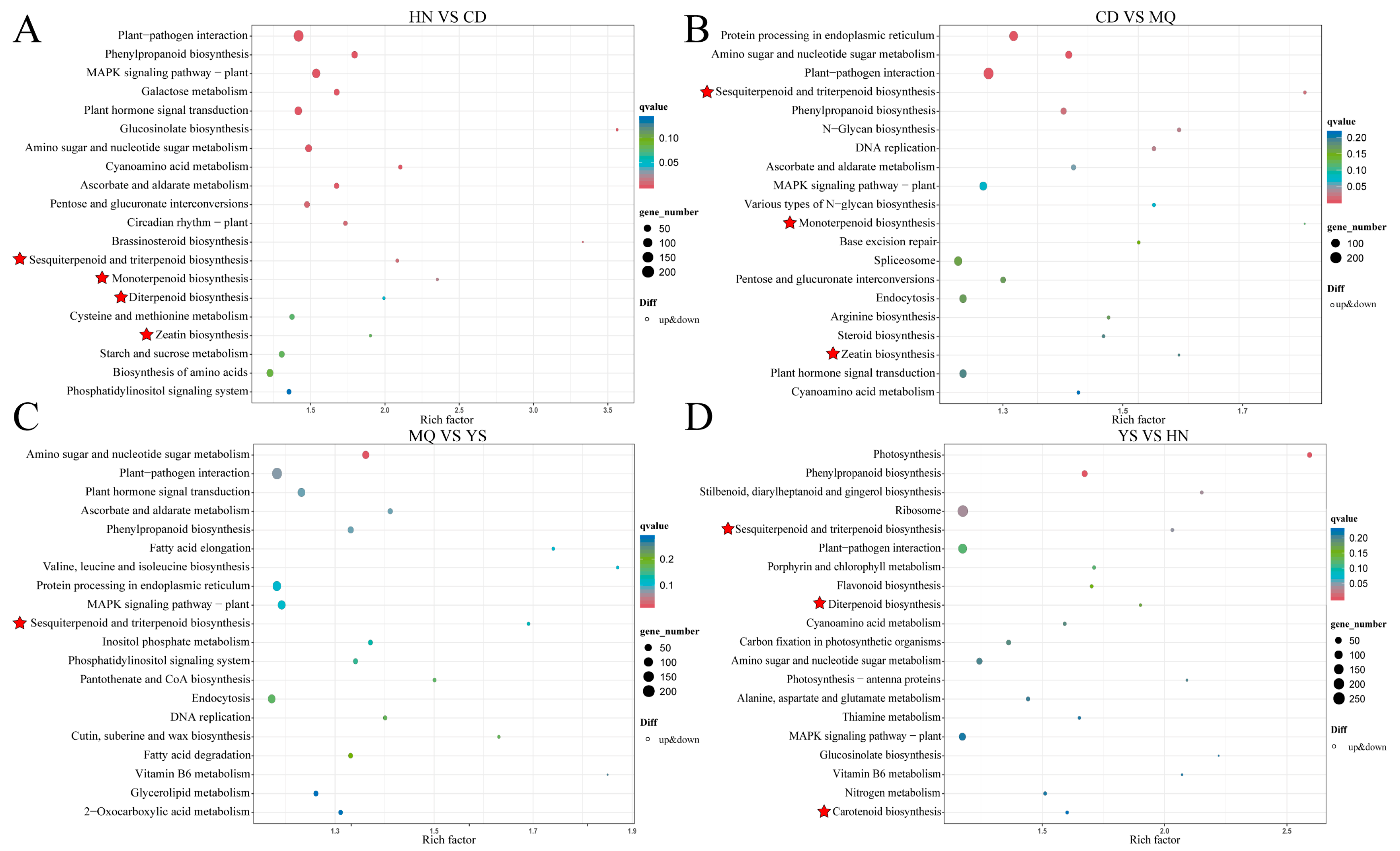 Plants 13 01627 g004