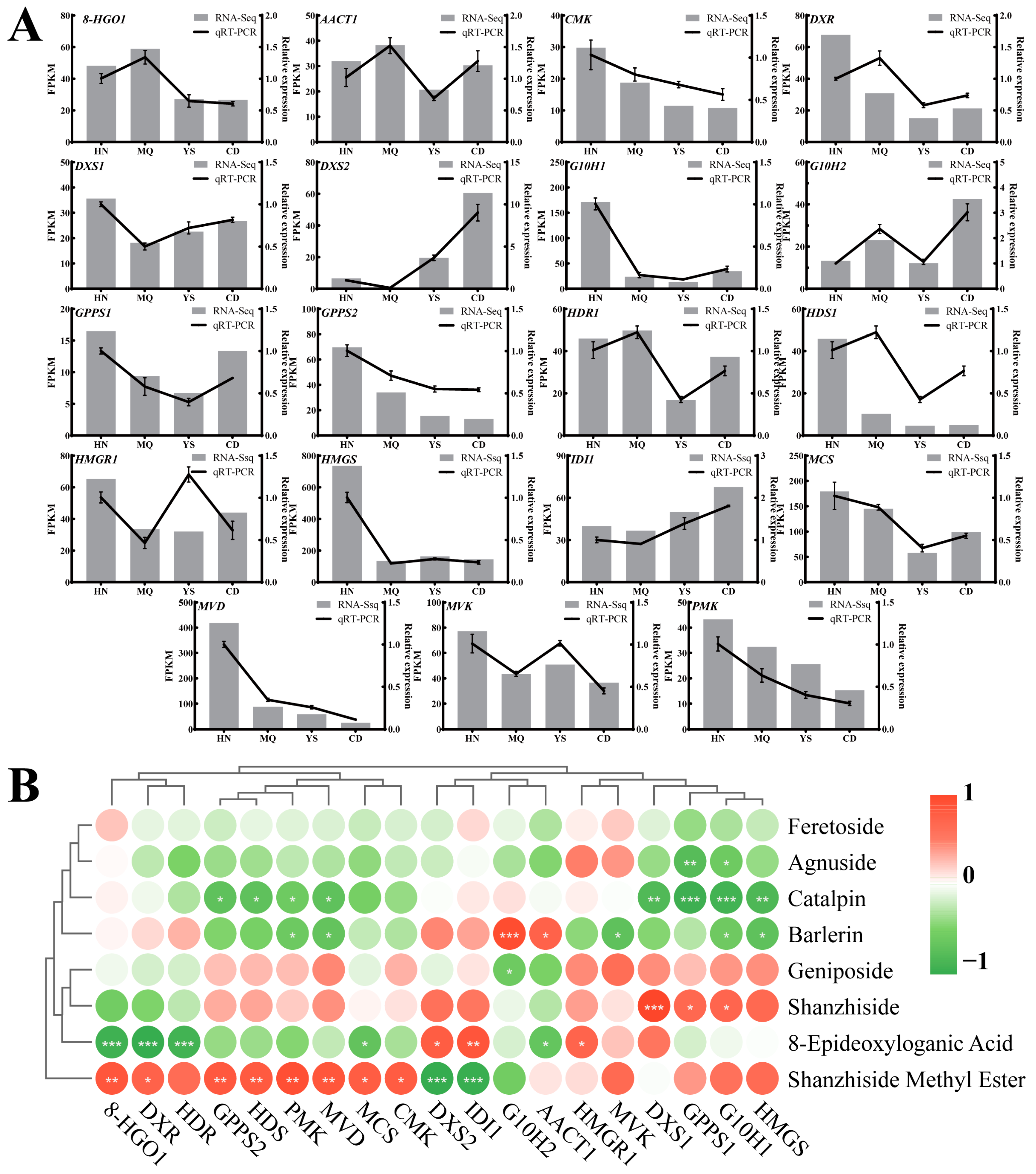 Plants 13 01627 g008