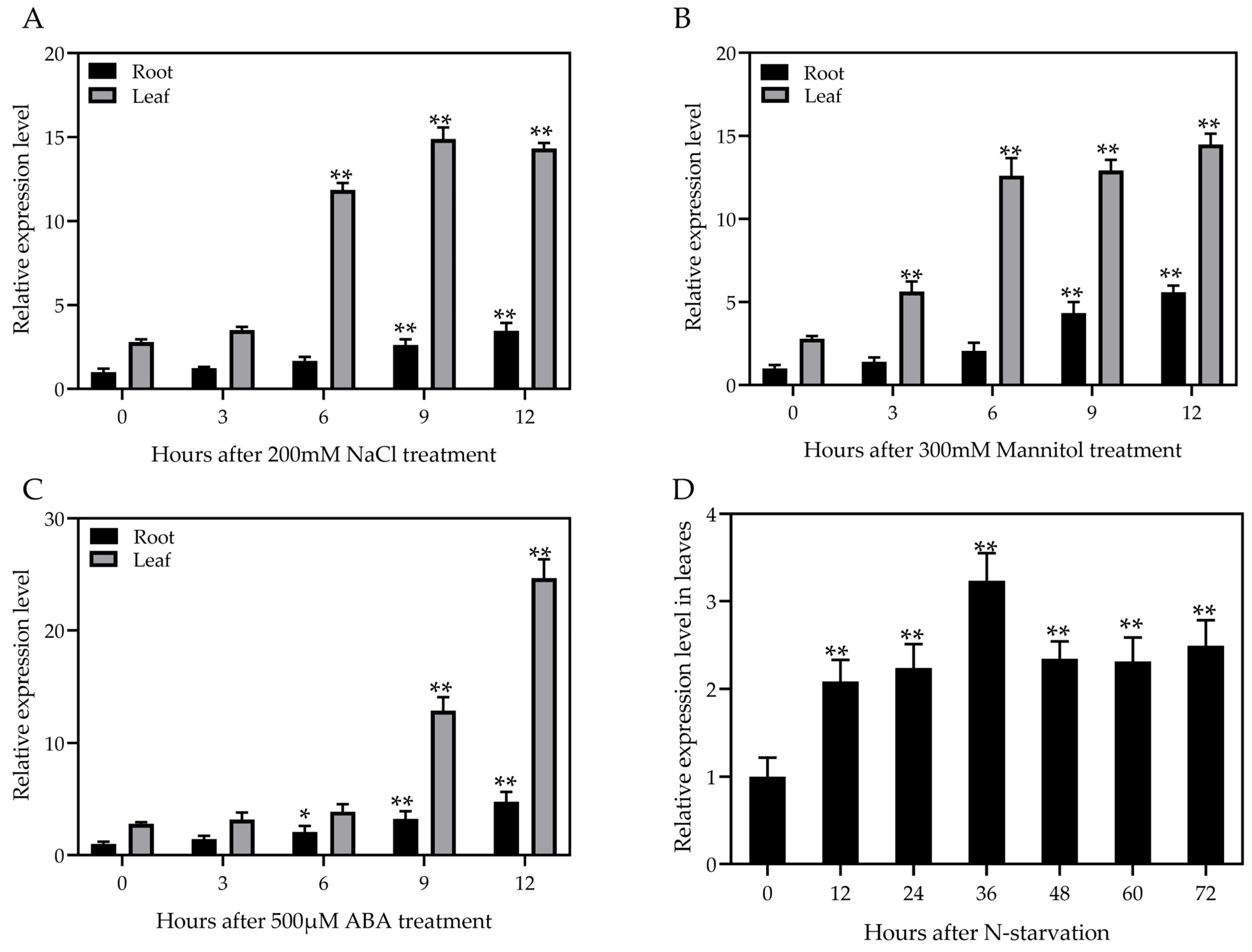 Plants 13 01637 g002