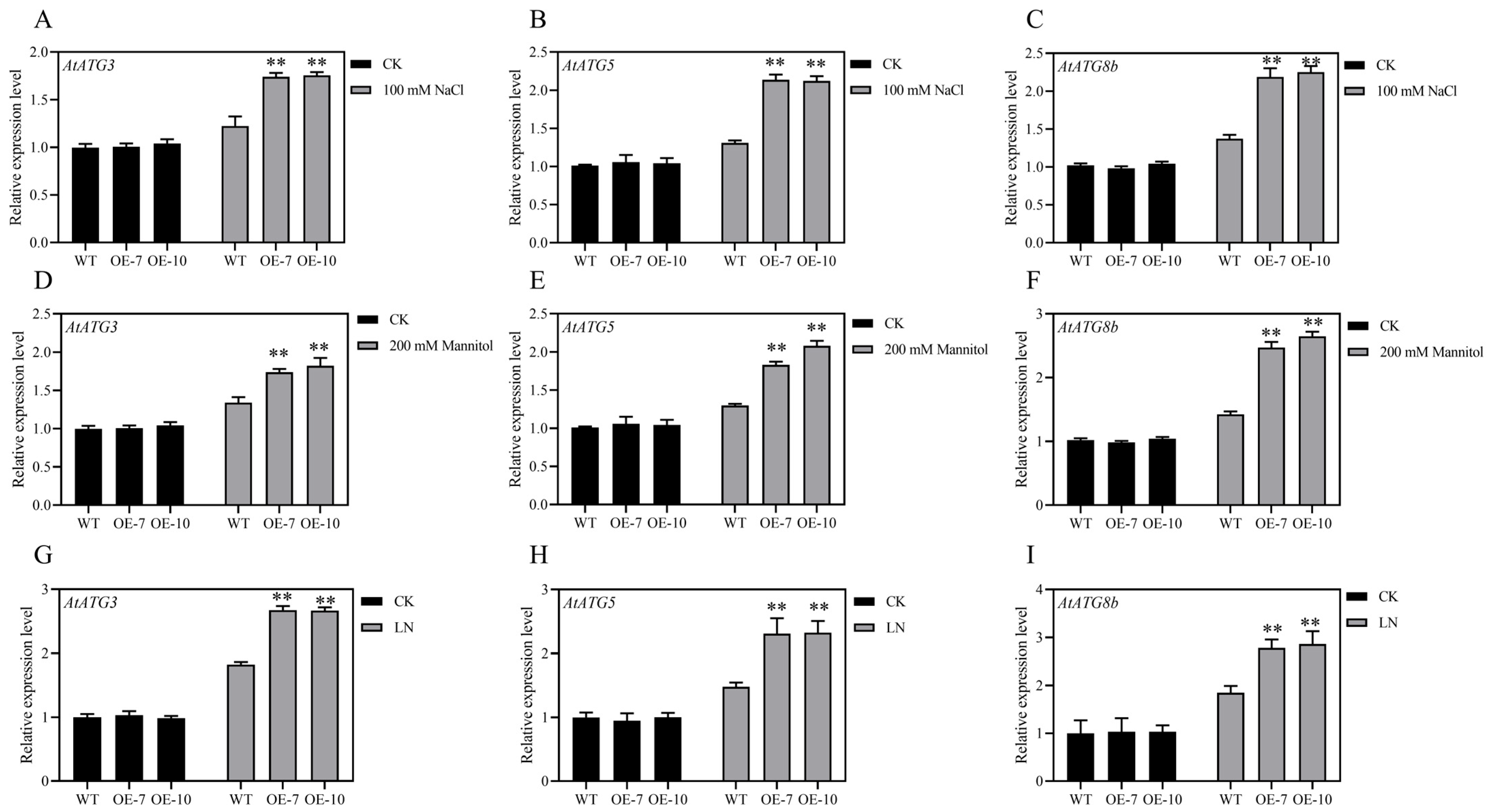 Plants 13 01637 g006