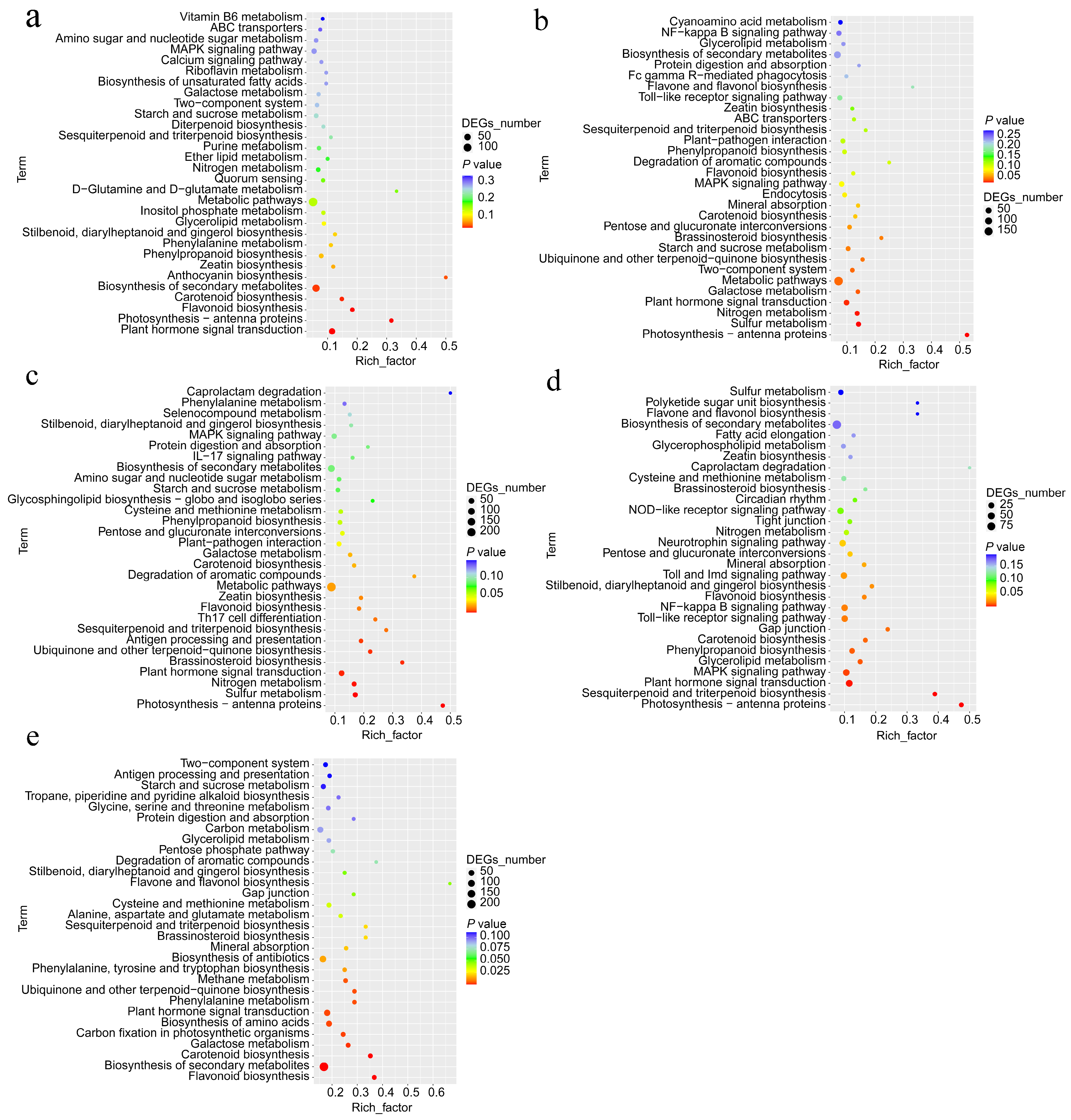 Plants 13 01638 g003