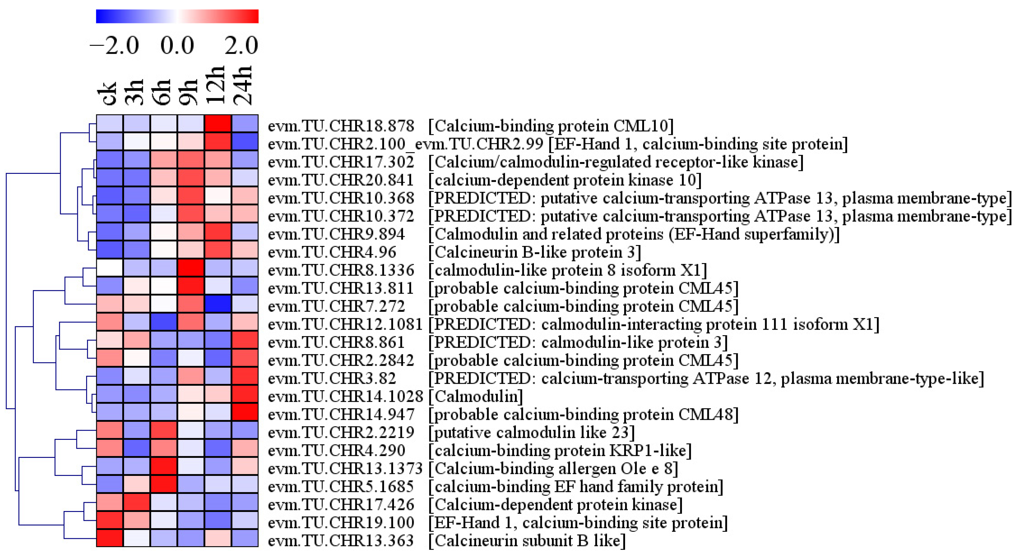 Plants 13 01638 g004