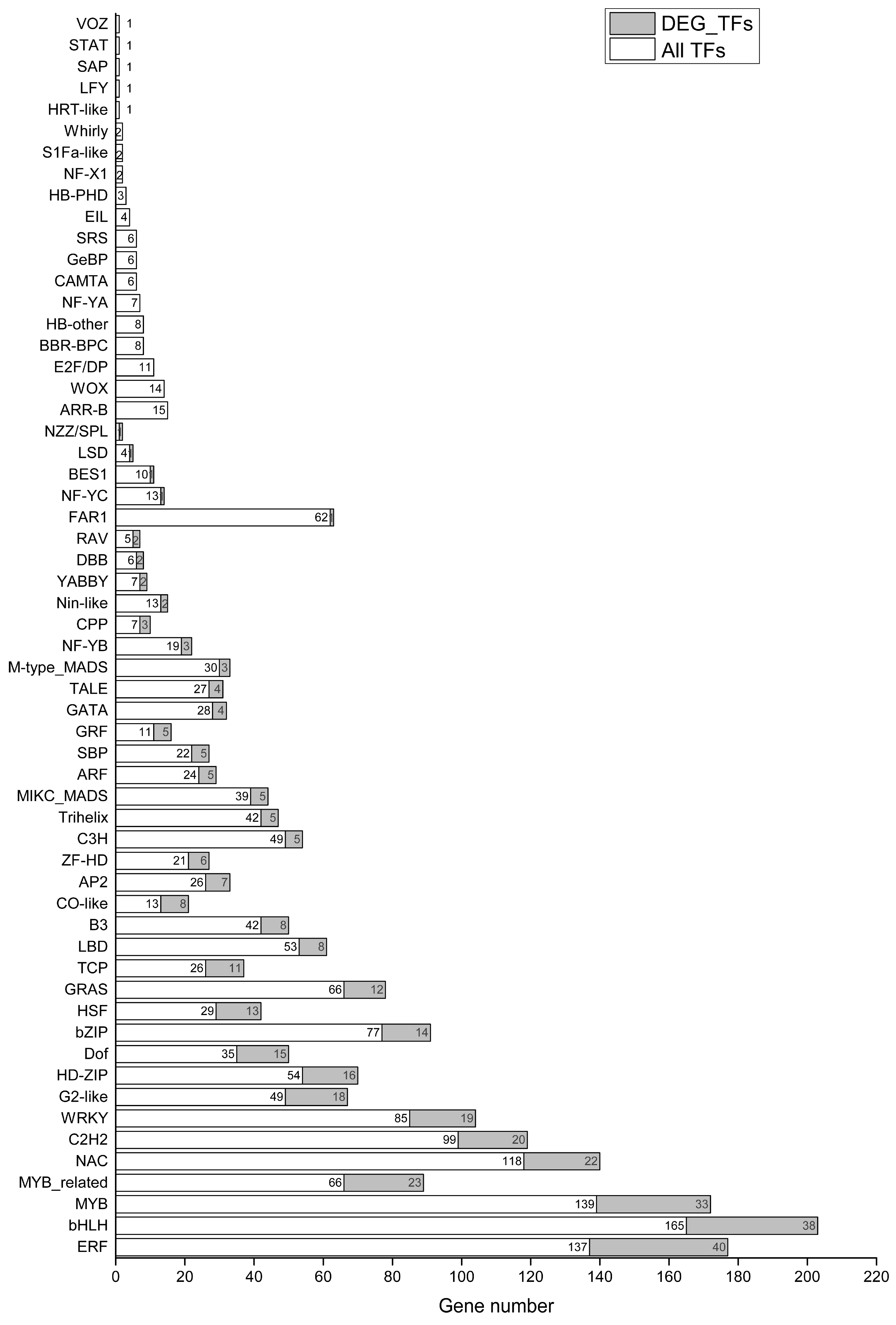Plants 13 01638 g007