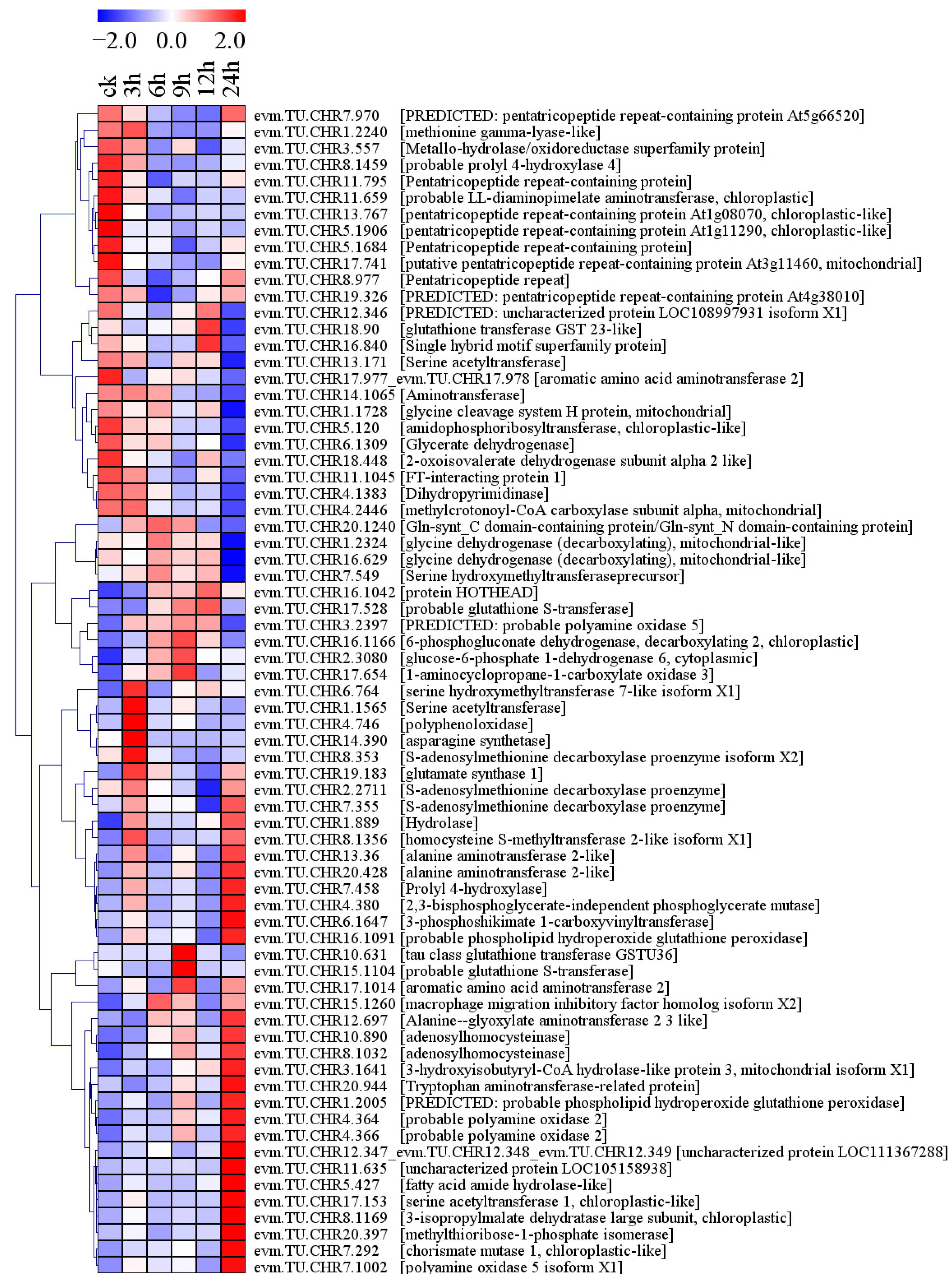 Plants 13 01638 g008
