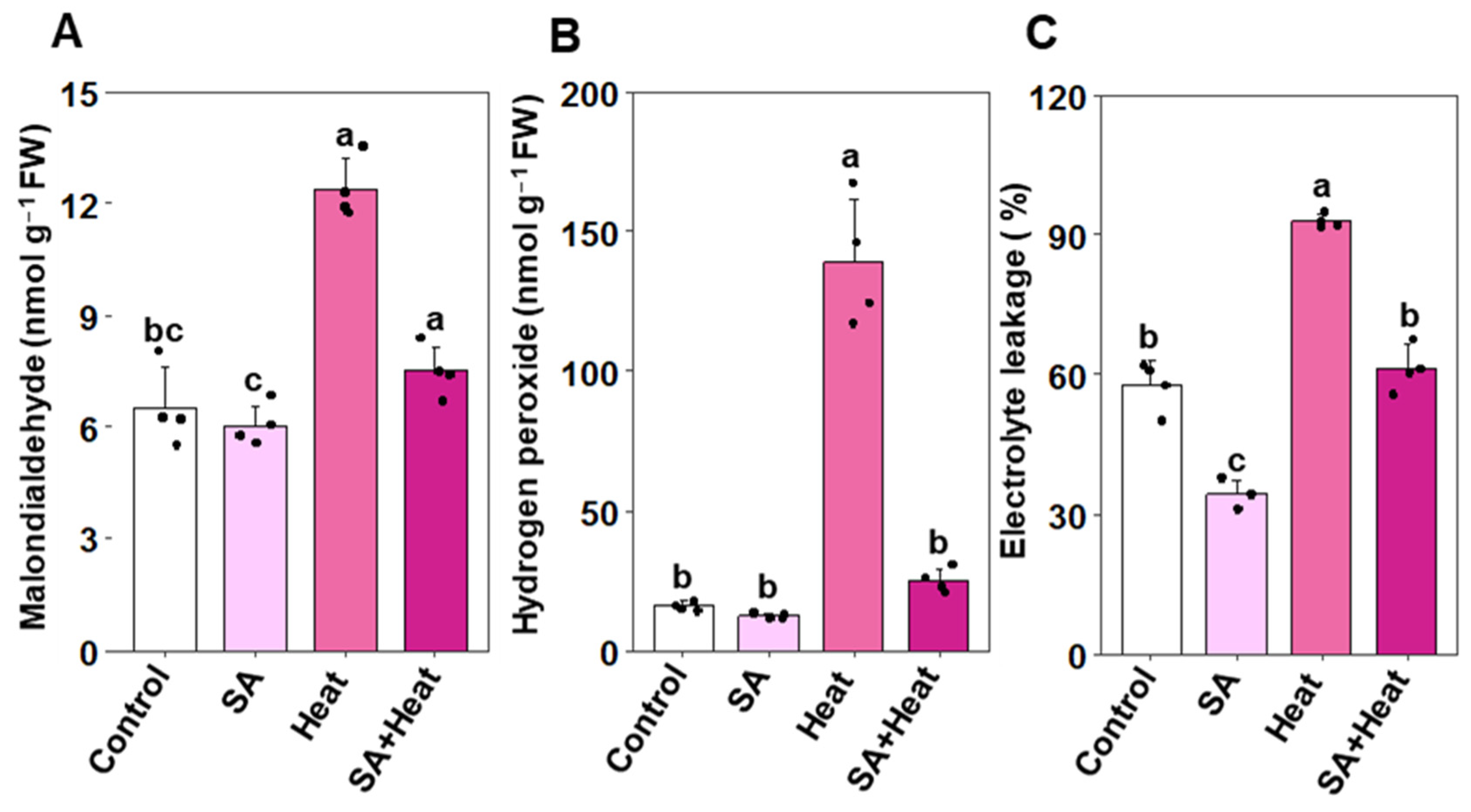Plants 13 01639 g003