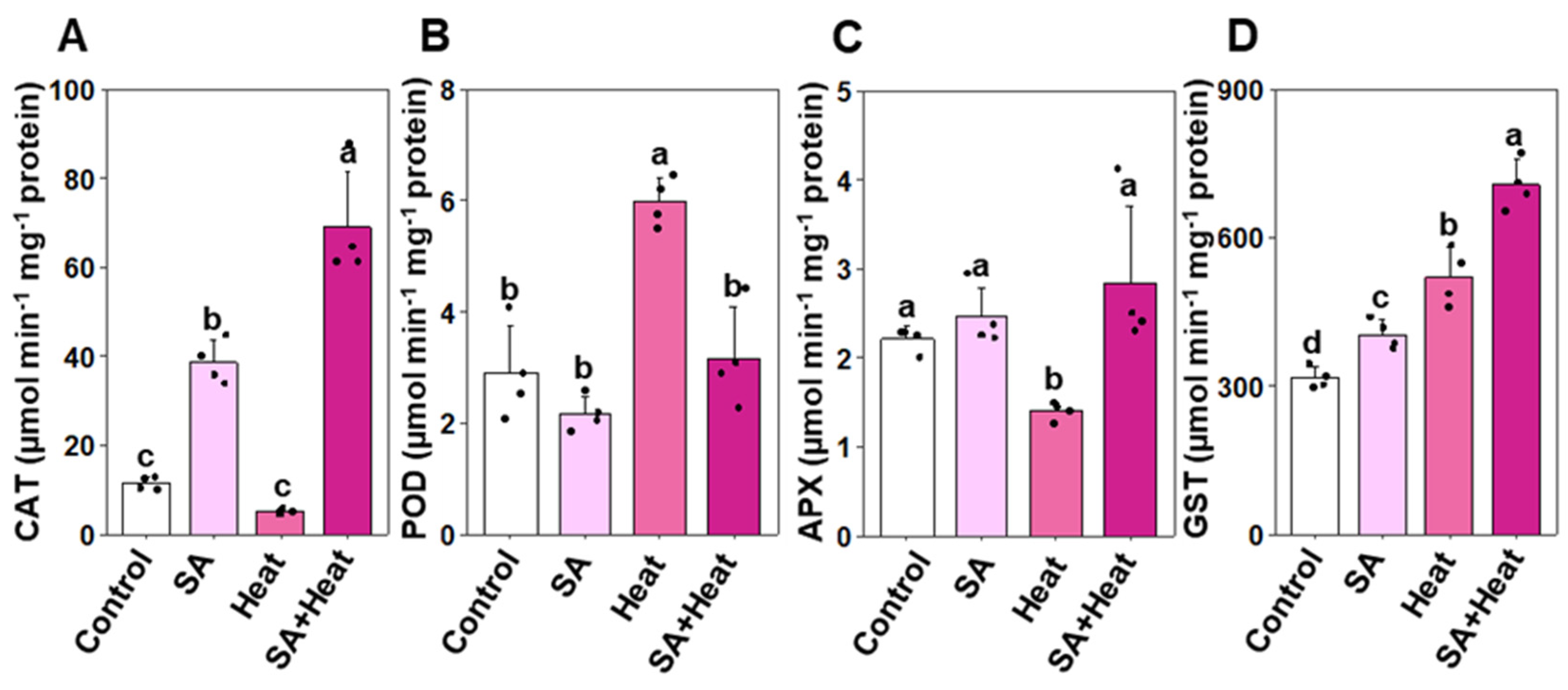 Plants 13 01639 g004