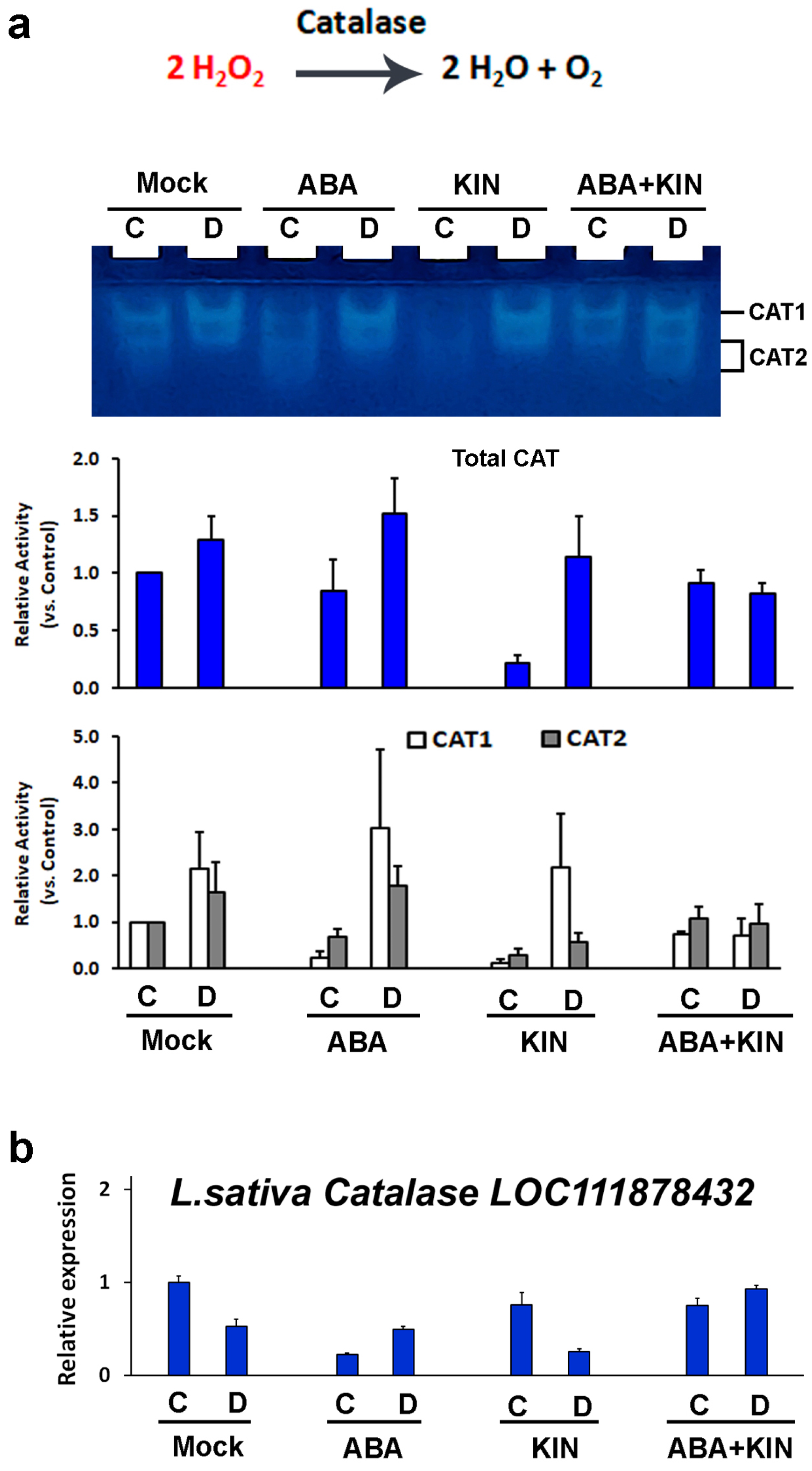 Plants 13 01641 g006