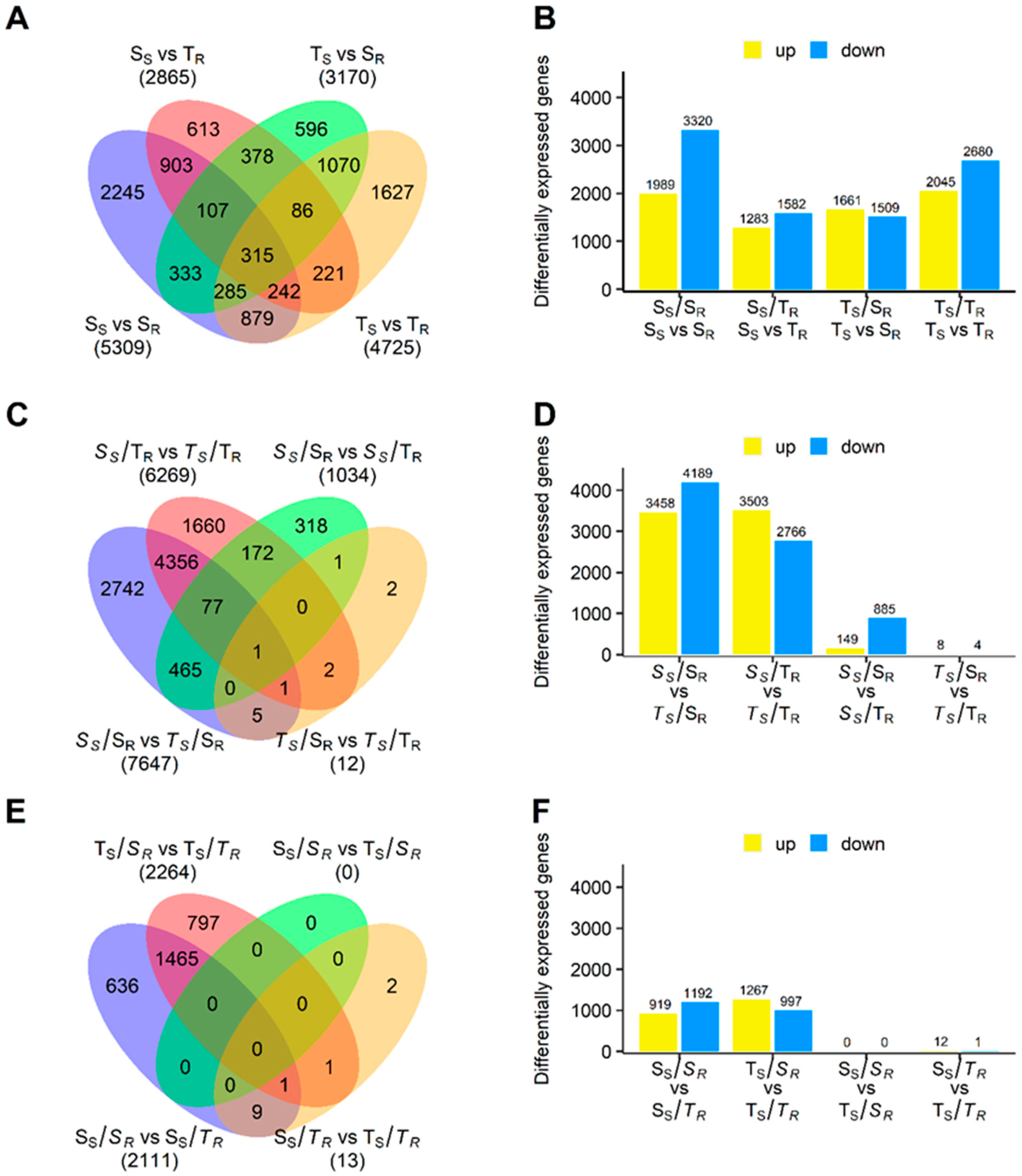 Plants 13 01644 g002