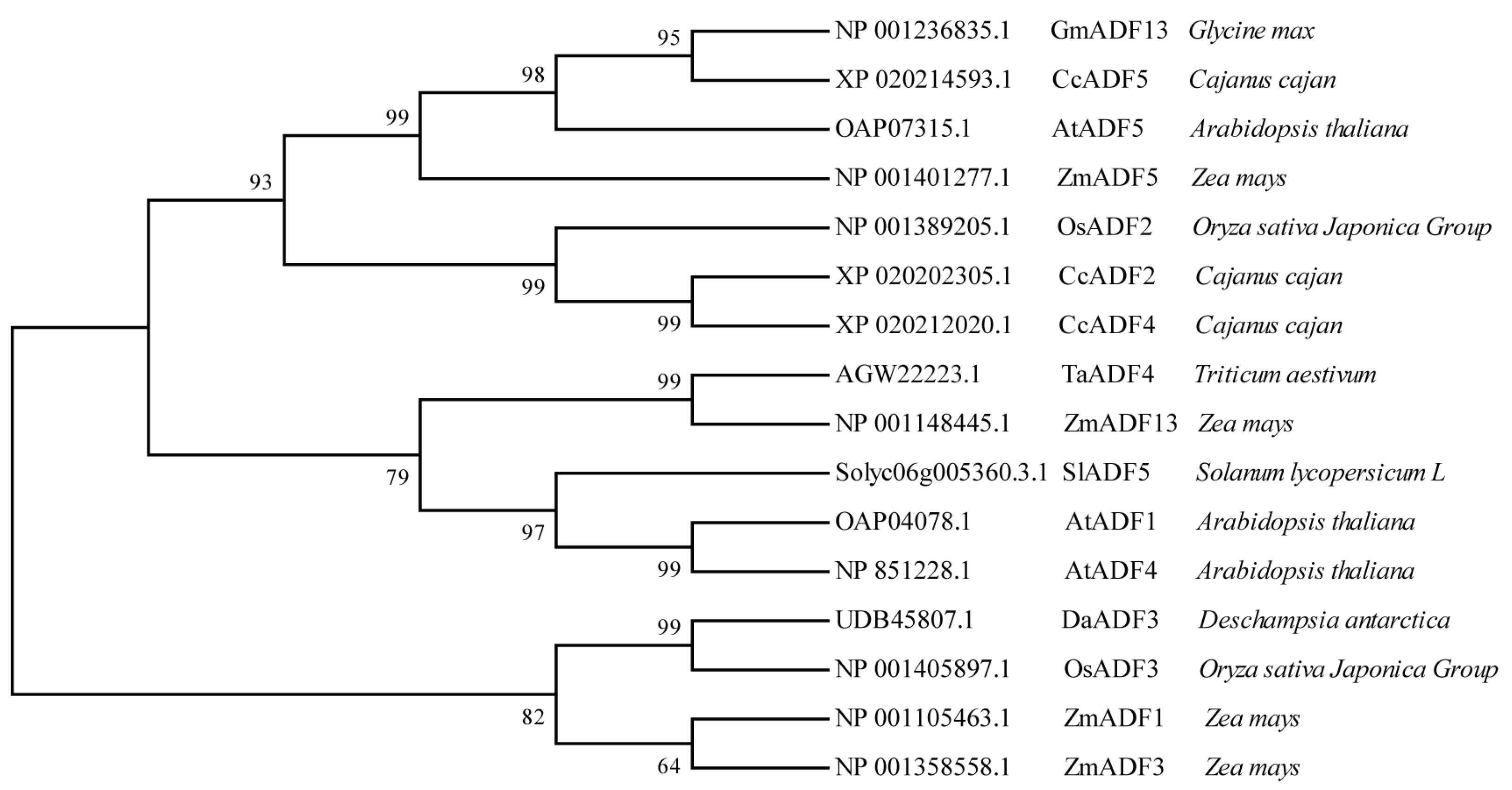 Plants 13 01651 g002