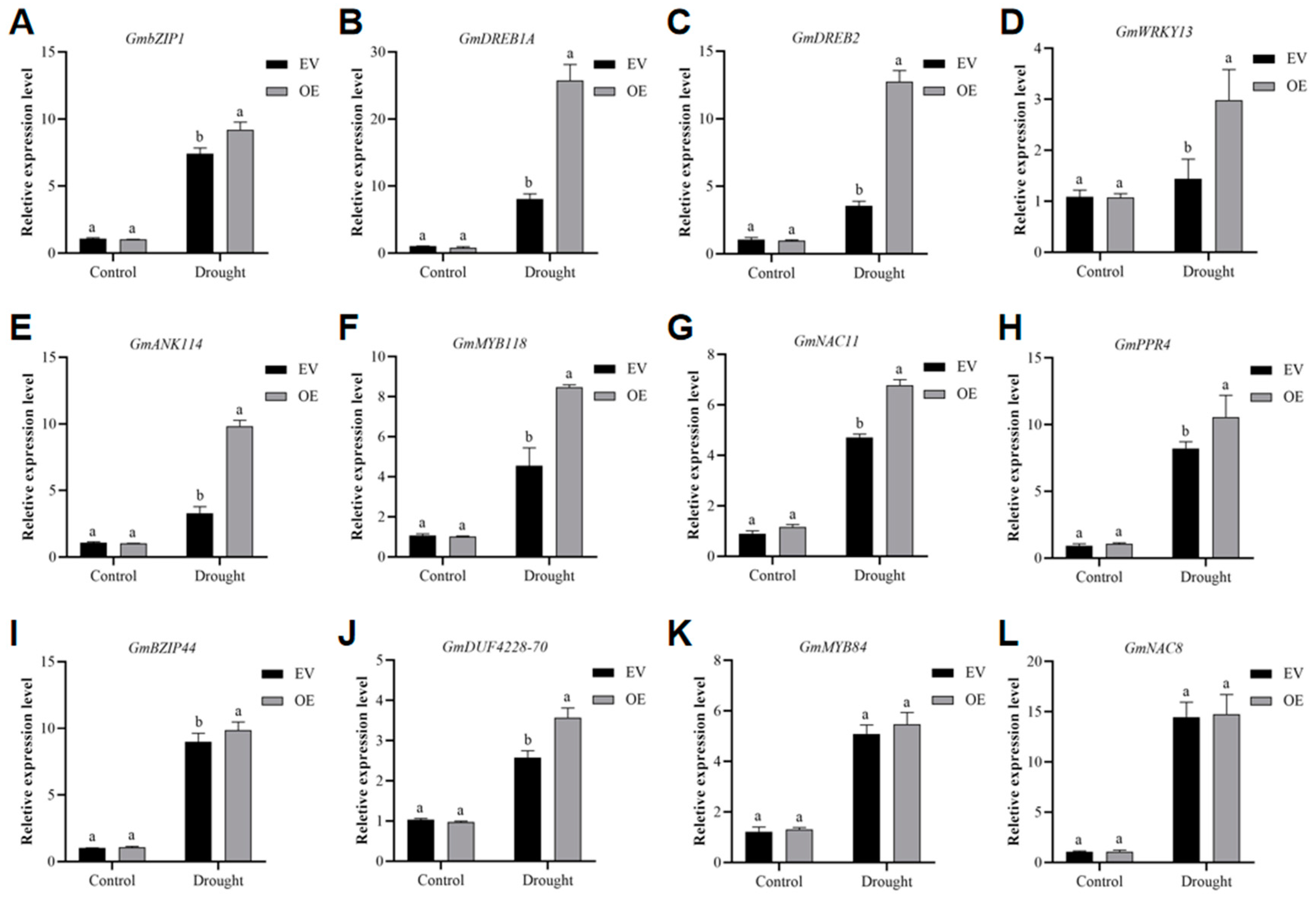 Plants 13 01651 g008