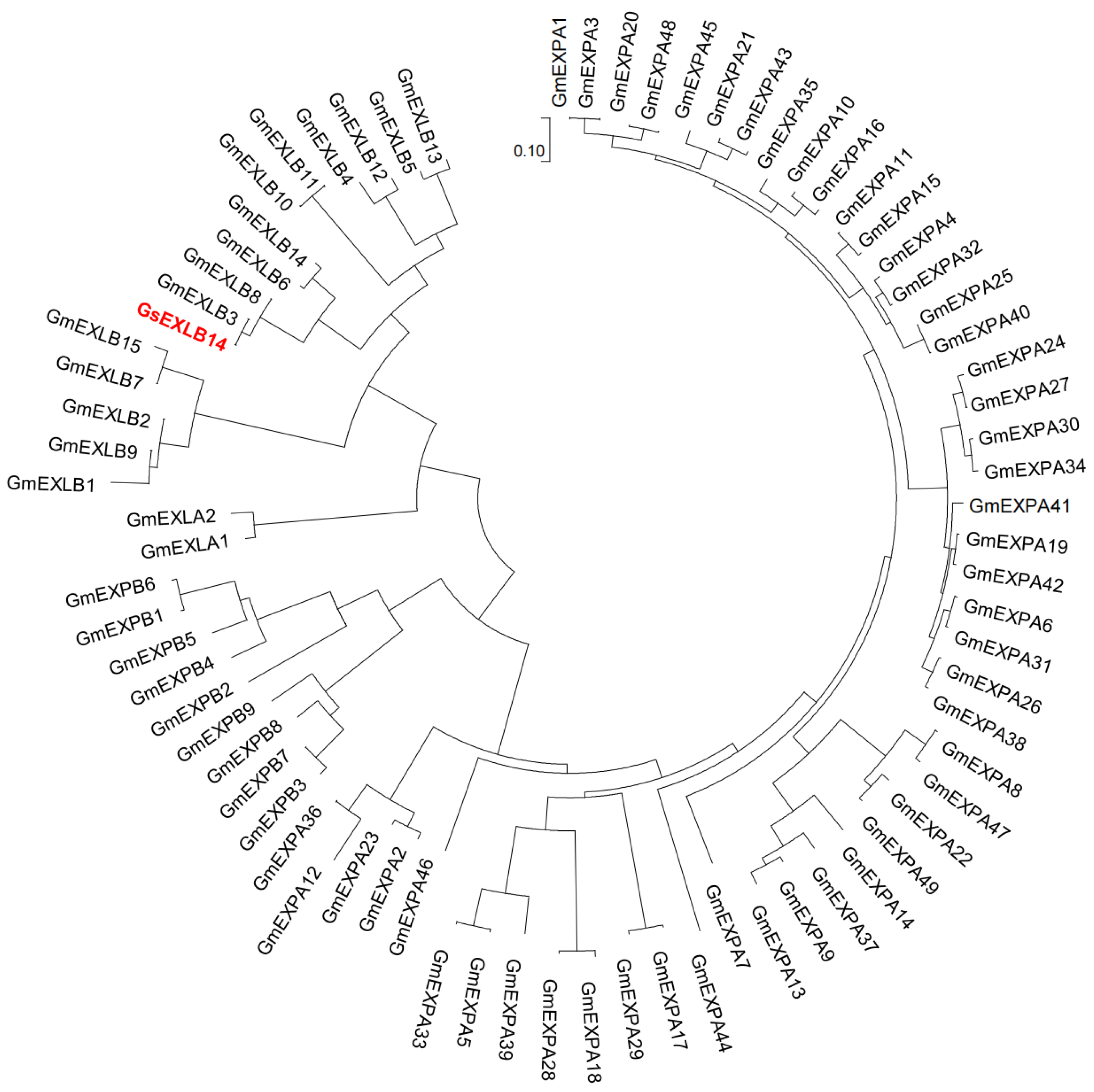 Plants 13 01656 g001