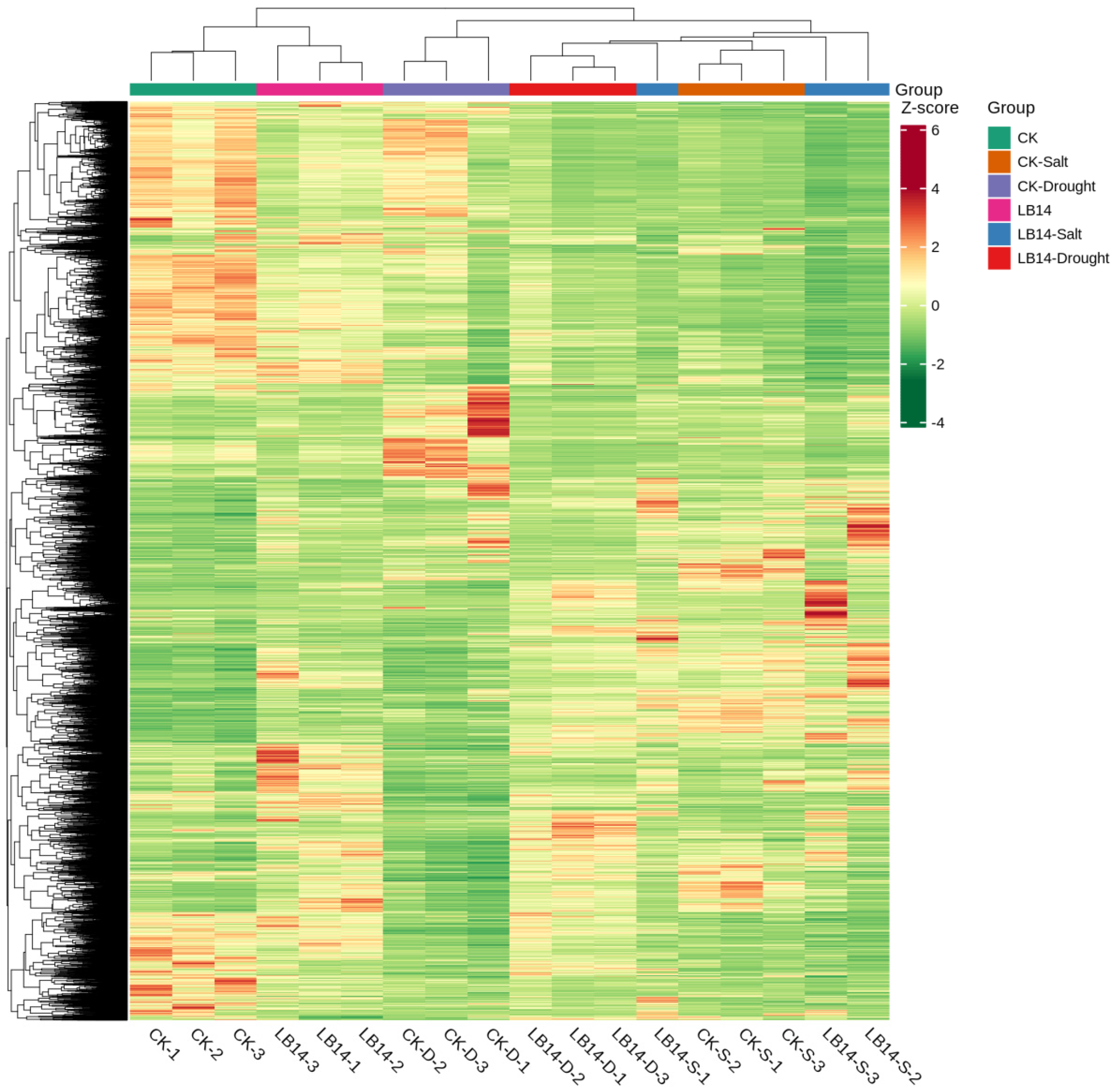 Plants 13 01656 g006
