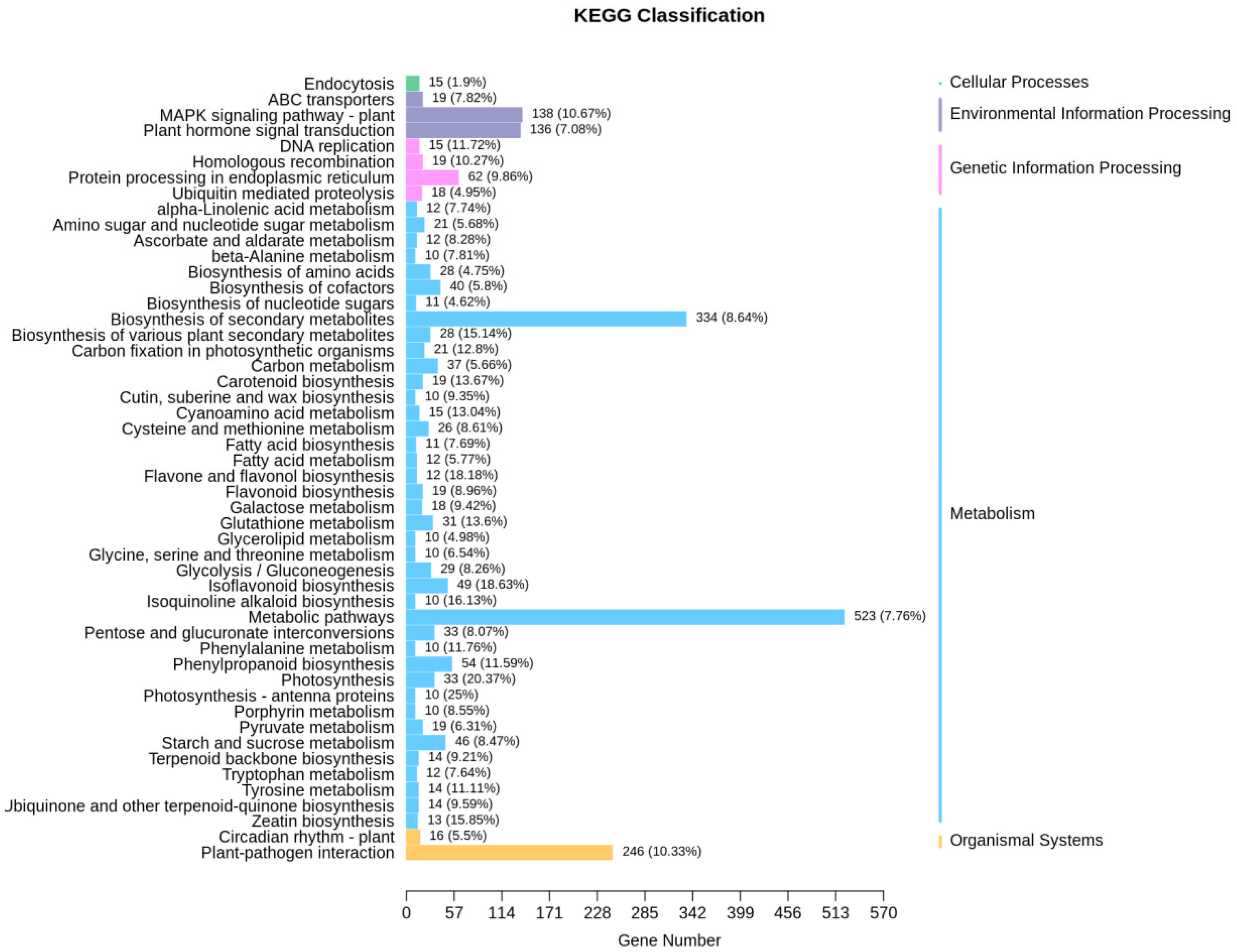 Plants 13 01656 g007