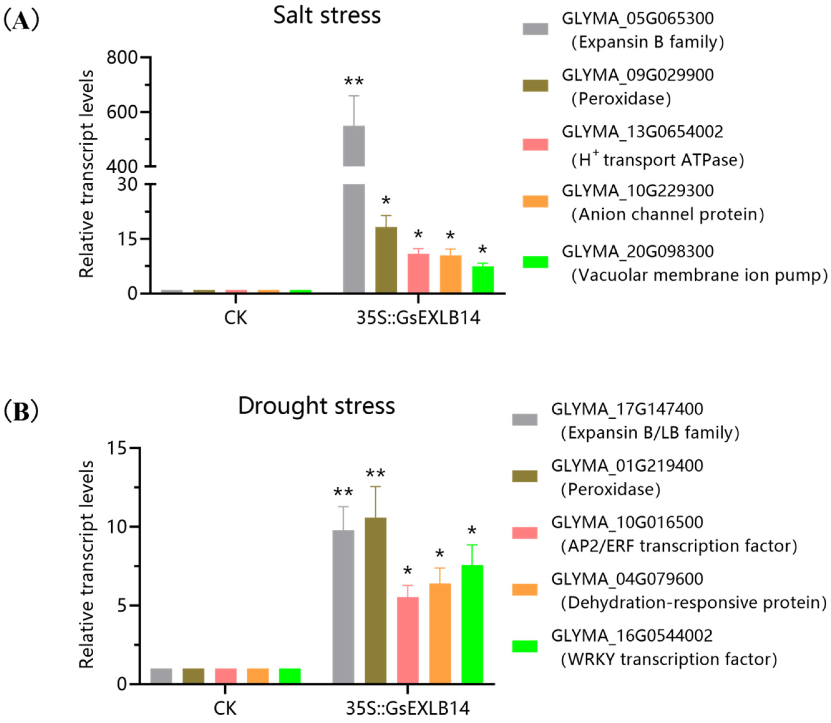 Plants 13 01656 g009