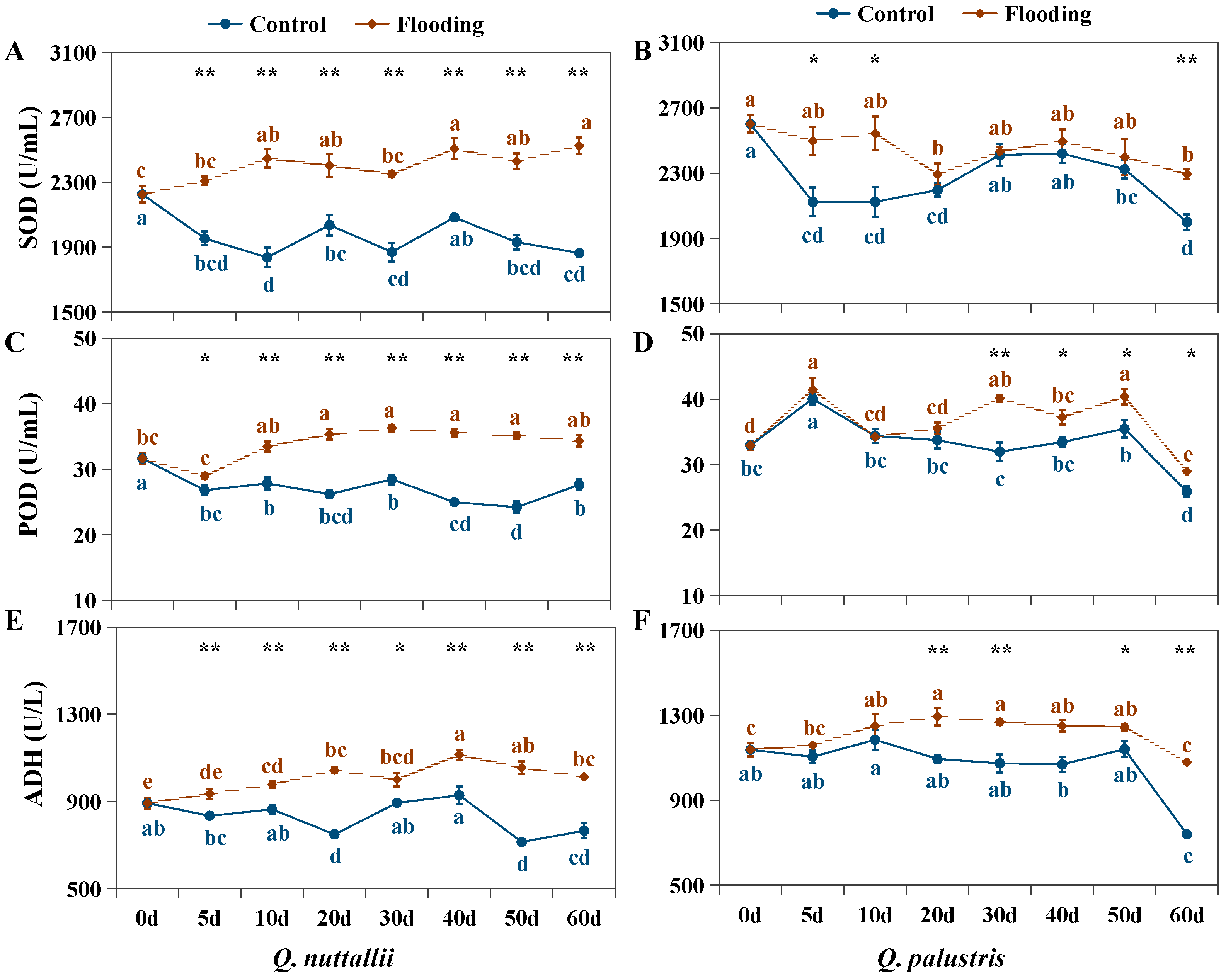 Plants 13 01658 g006