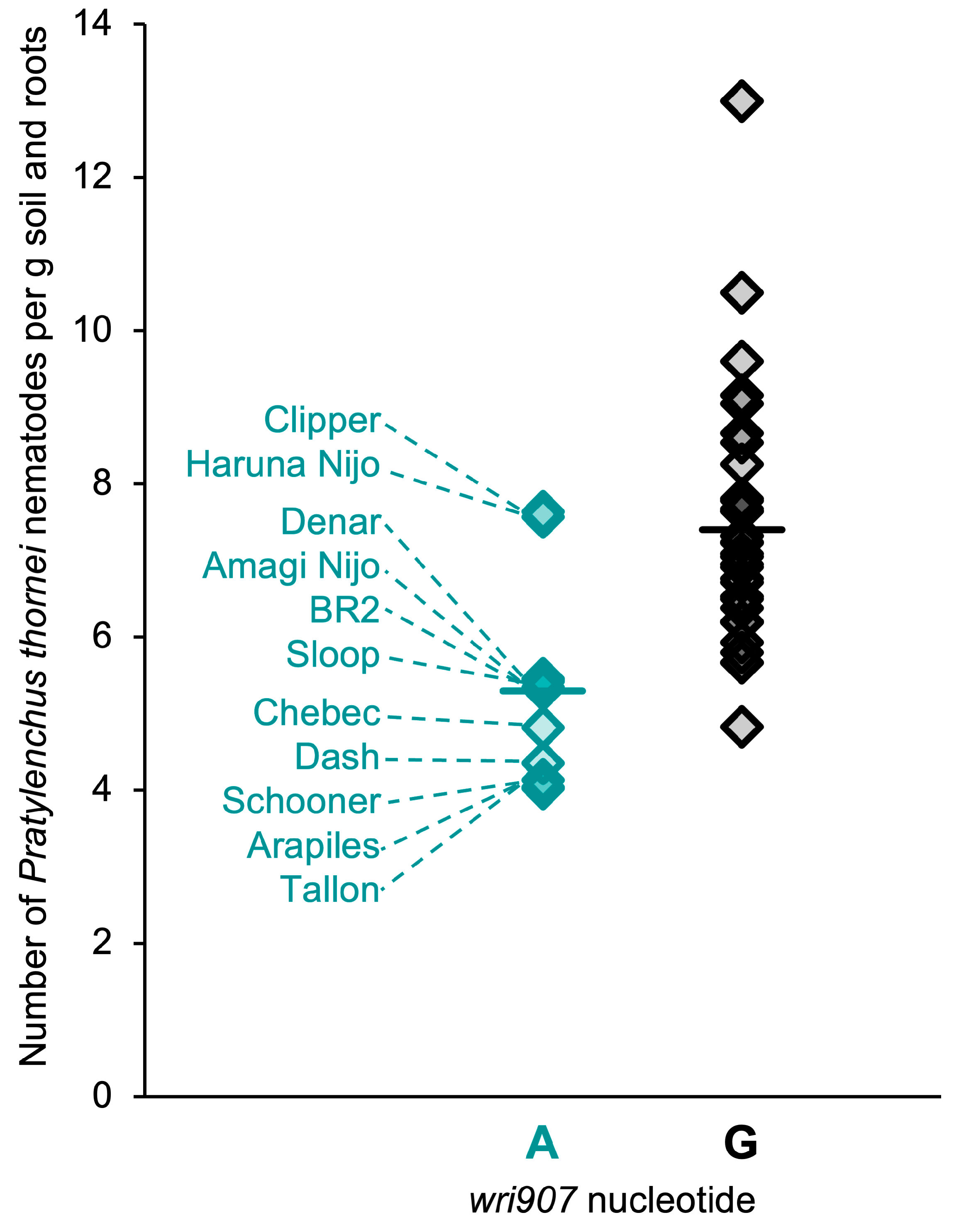 Plants 13 01663 g005