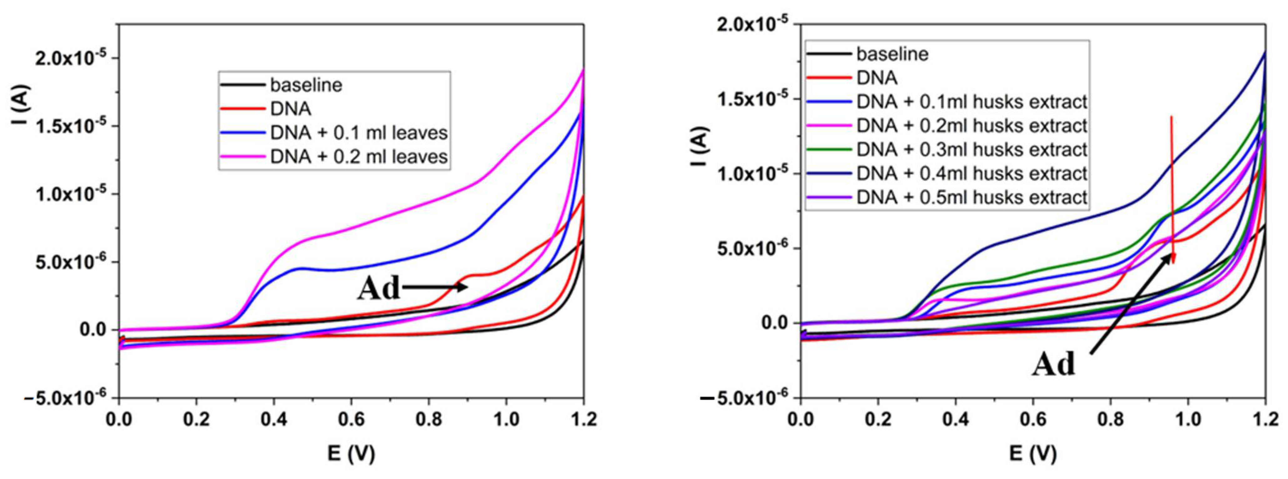 Plants 13 01669 g003