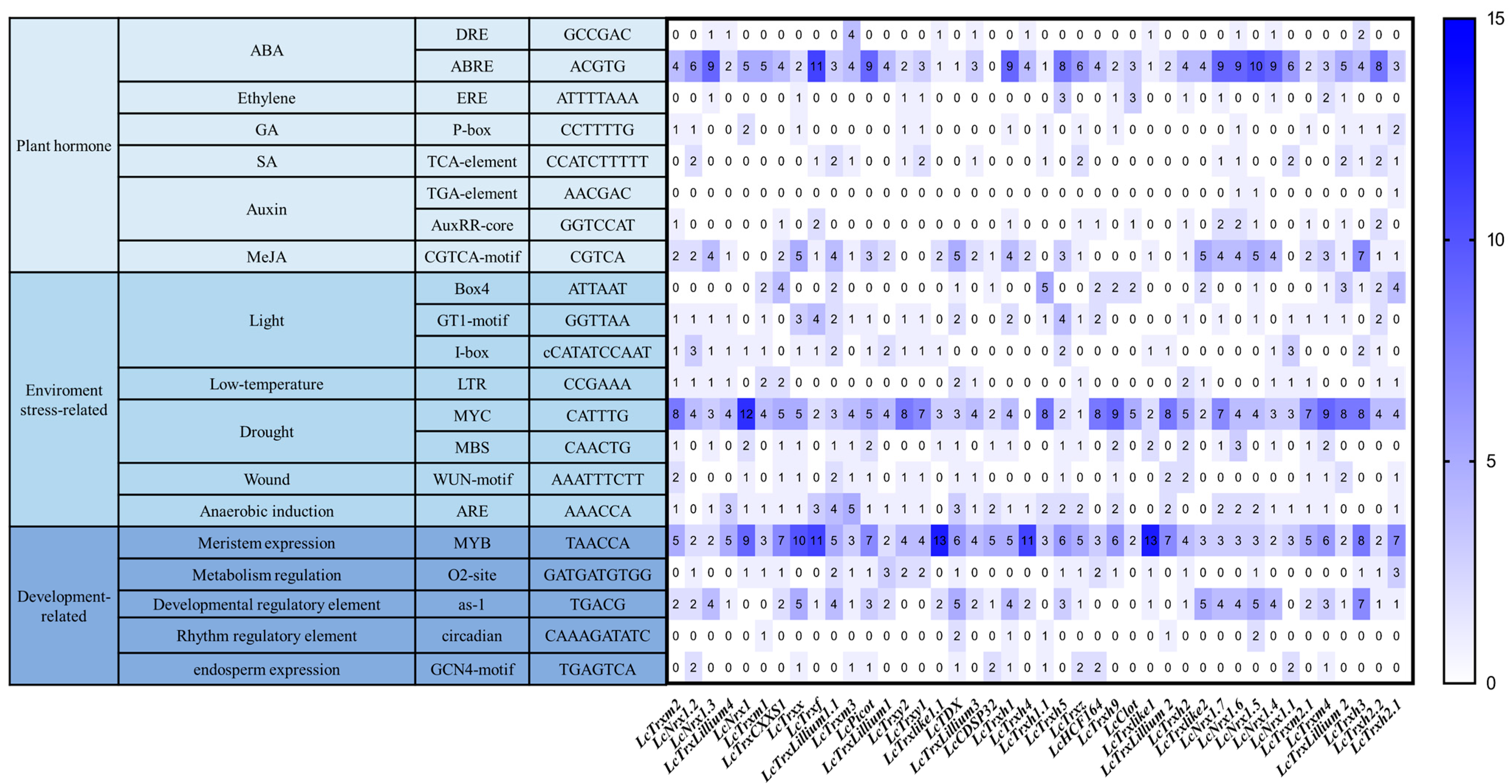Plants 13 01674 g004