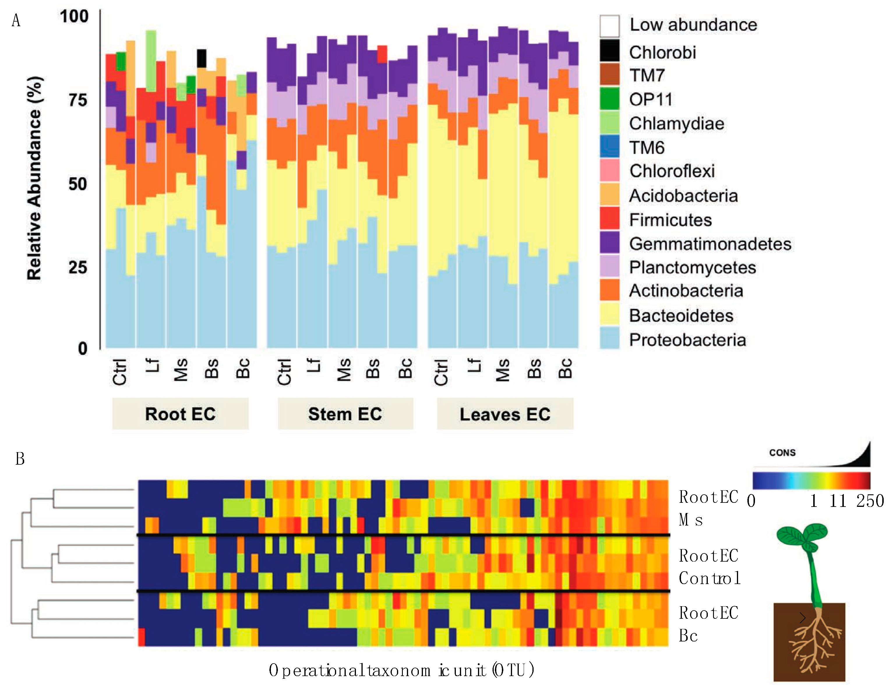 Plants 13 01677 g004