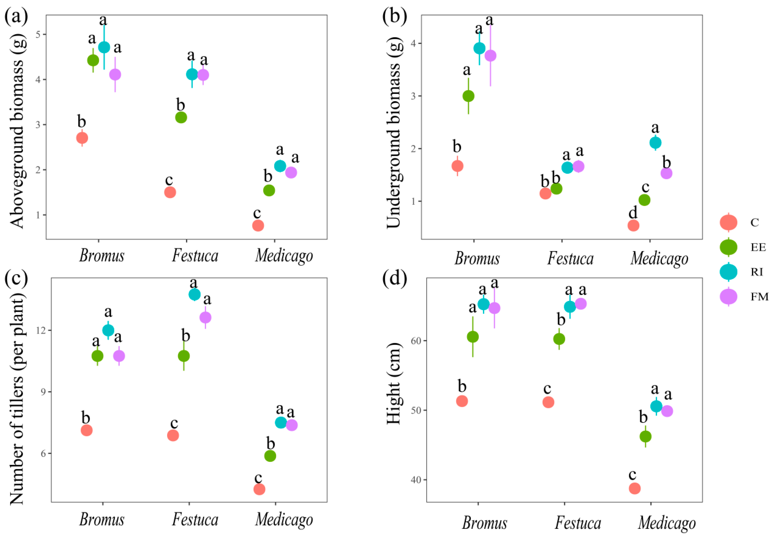 Plants 13 01678 g002