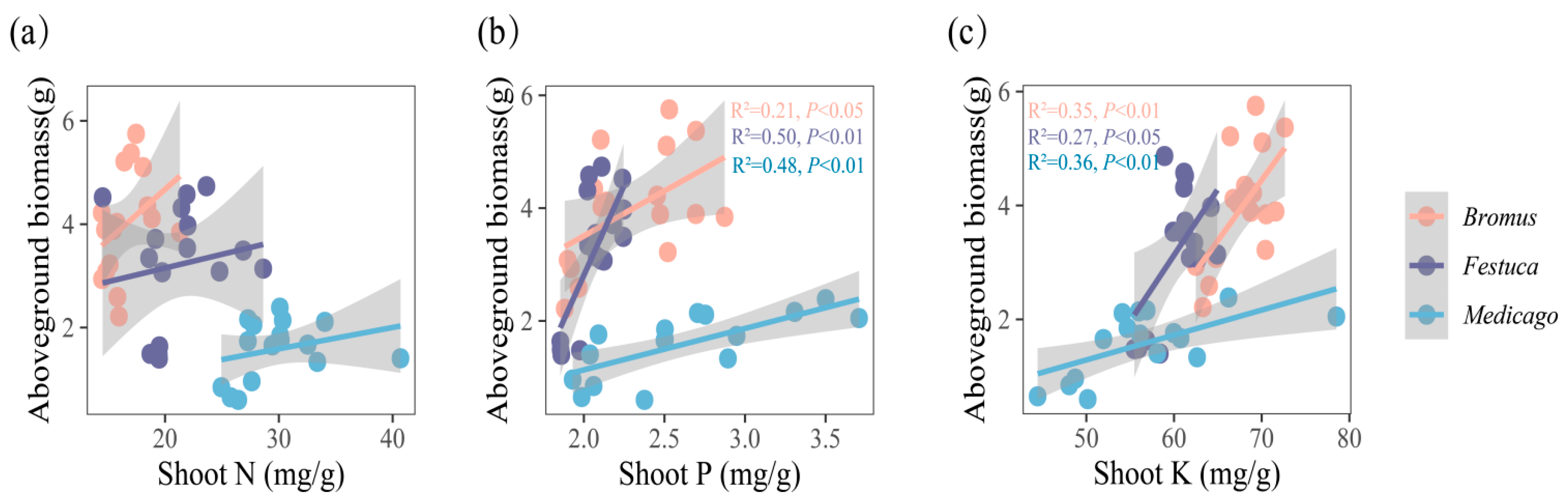 Plants 13 01678 g005