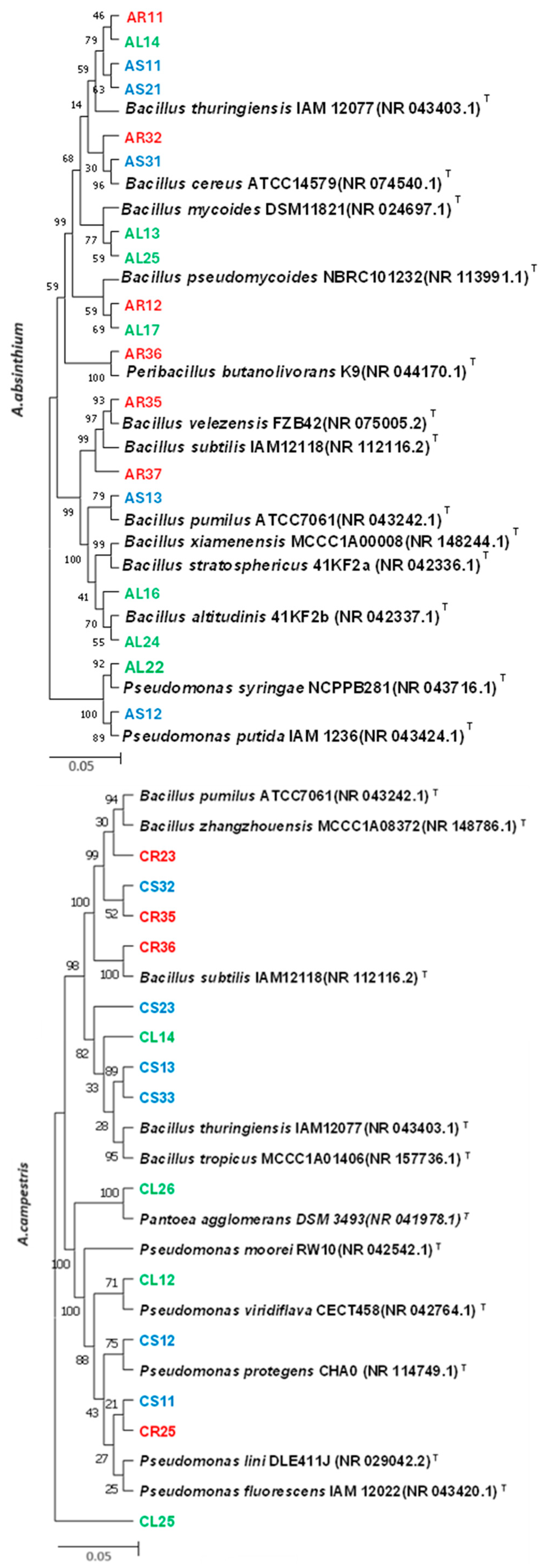 Plants 13 01684 g002a