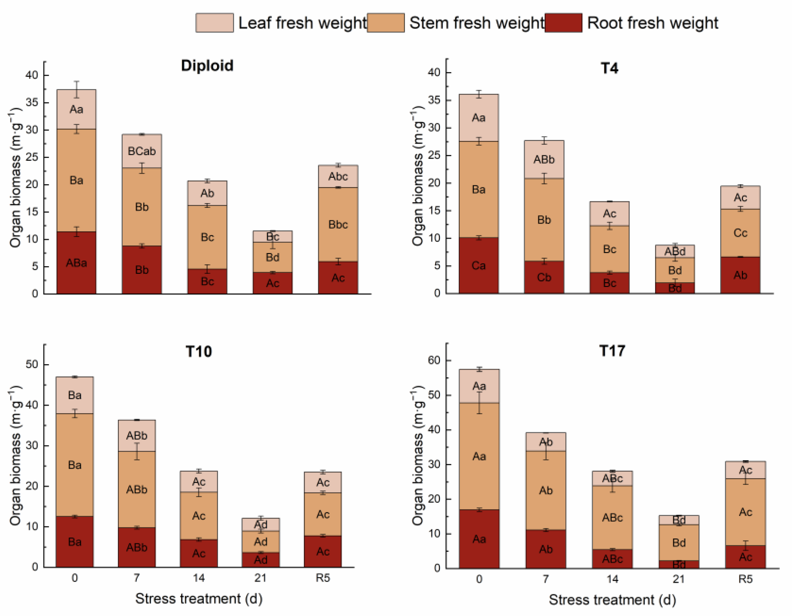 Plants 13 01685 g002