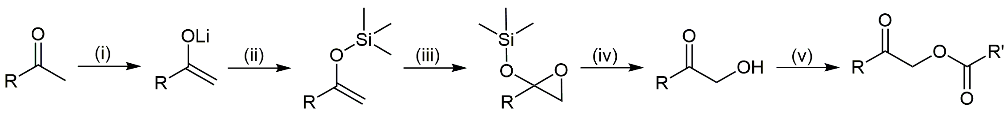 Plants 13 01690 g002