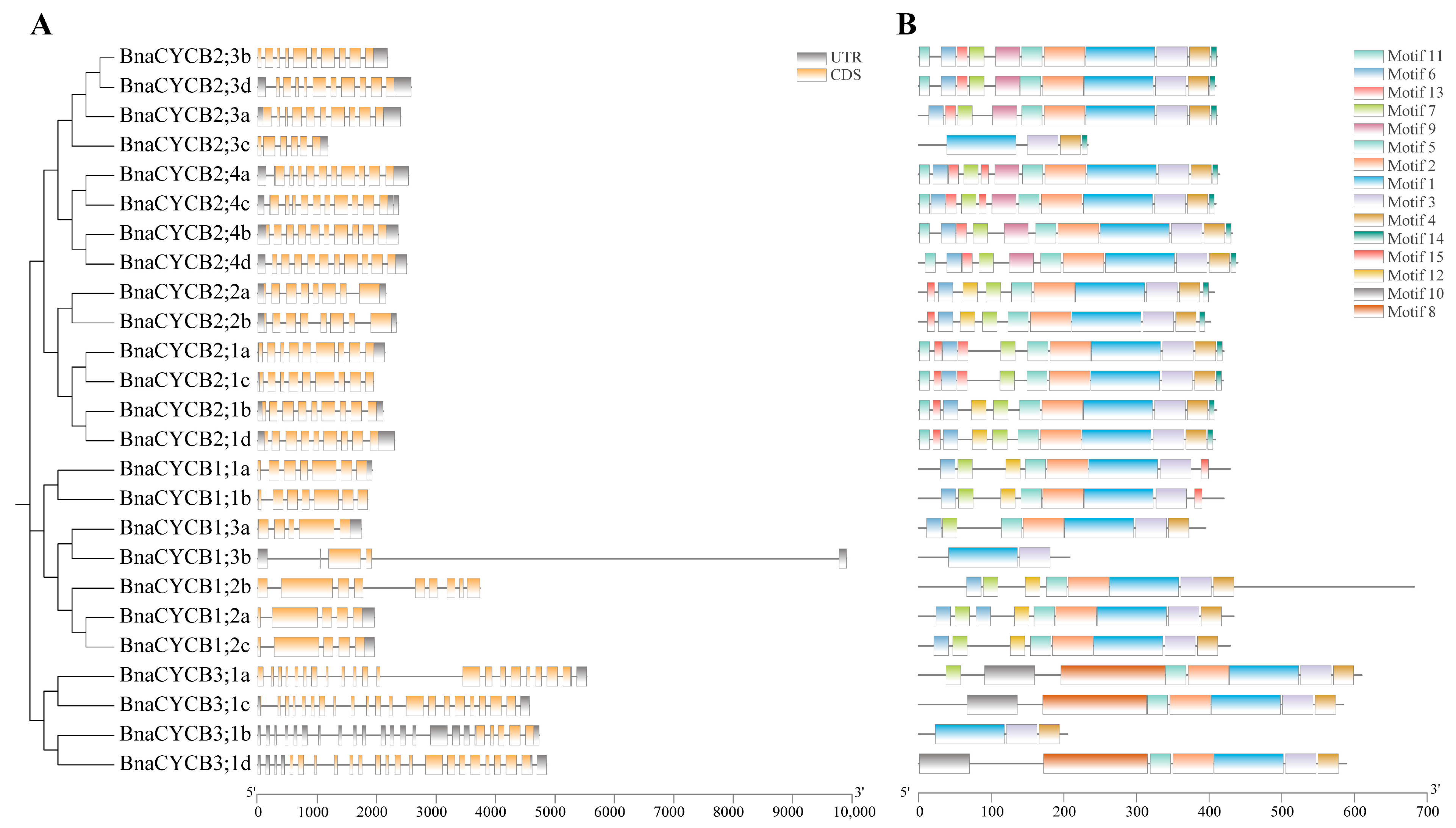 Plants 13 01709 g002