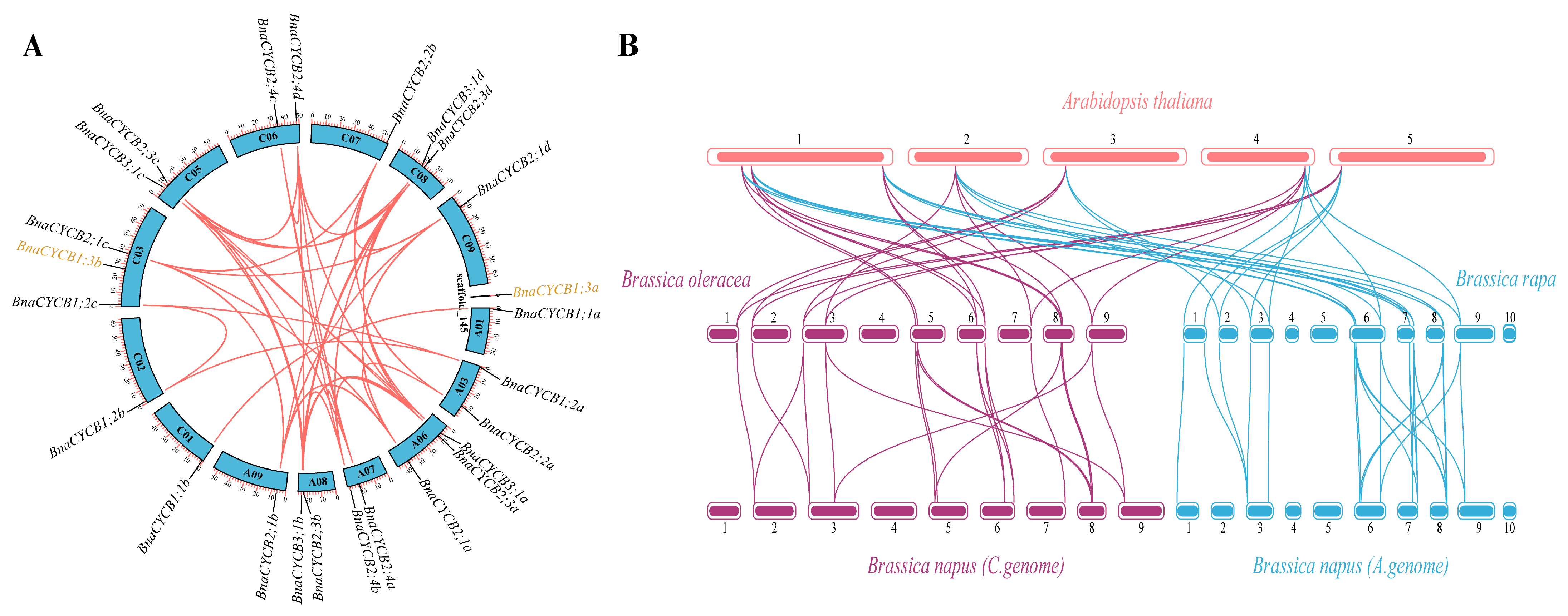 Plants 13 01709 g003
