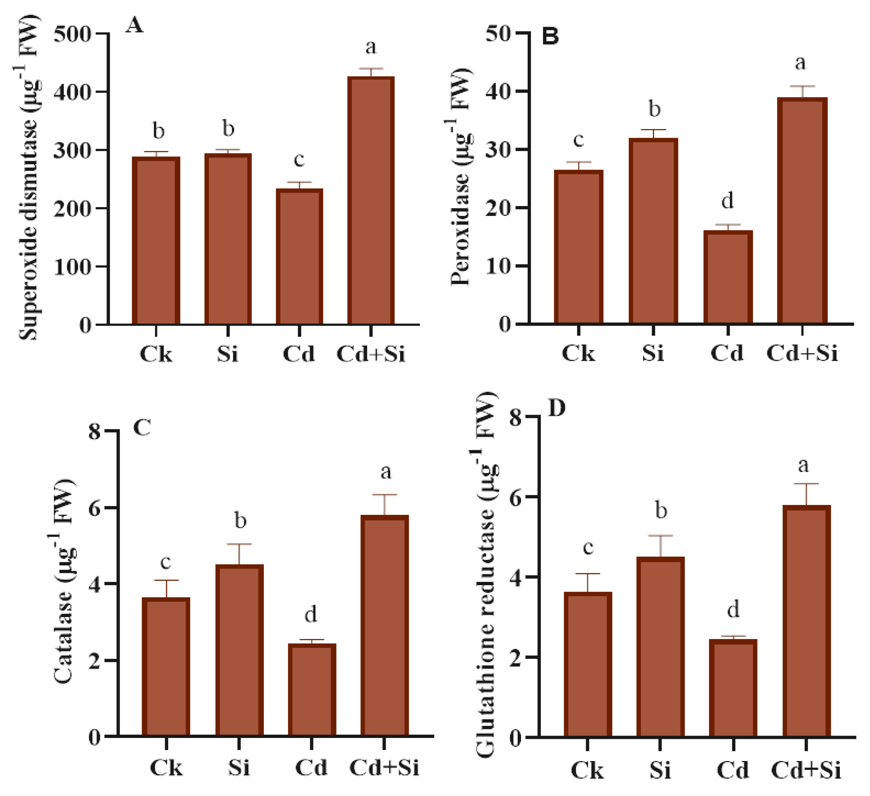 Plants 13 01715 g005