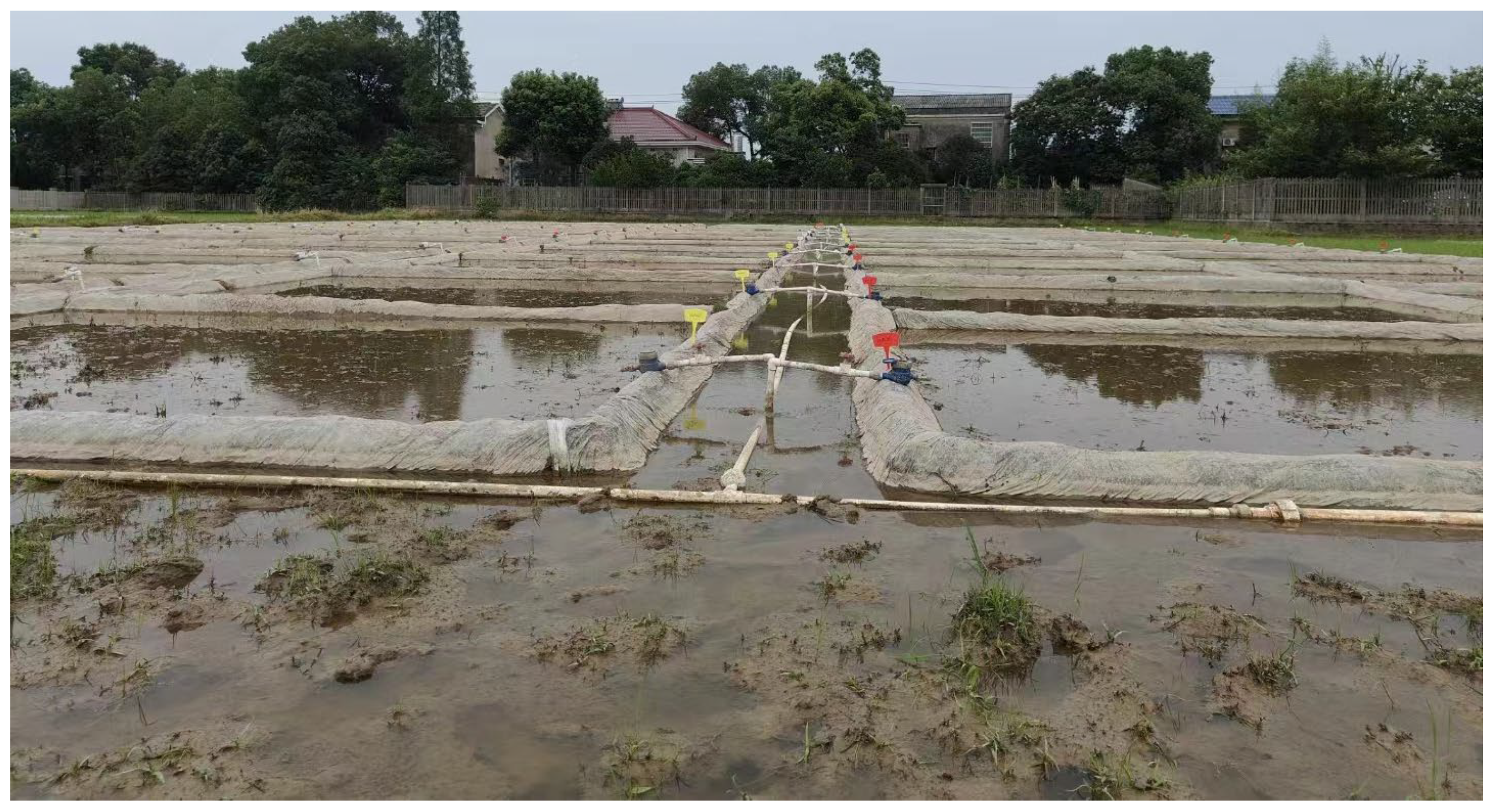 Plants 13 01717 g004