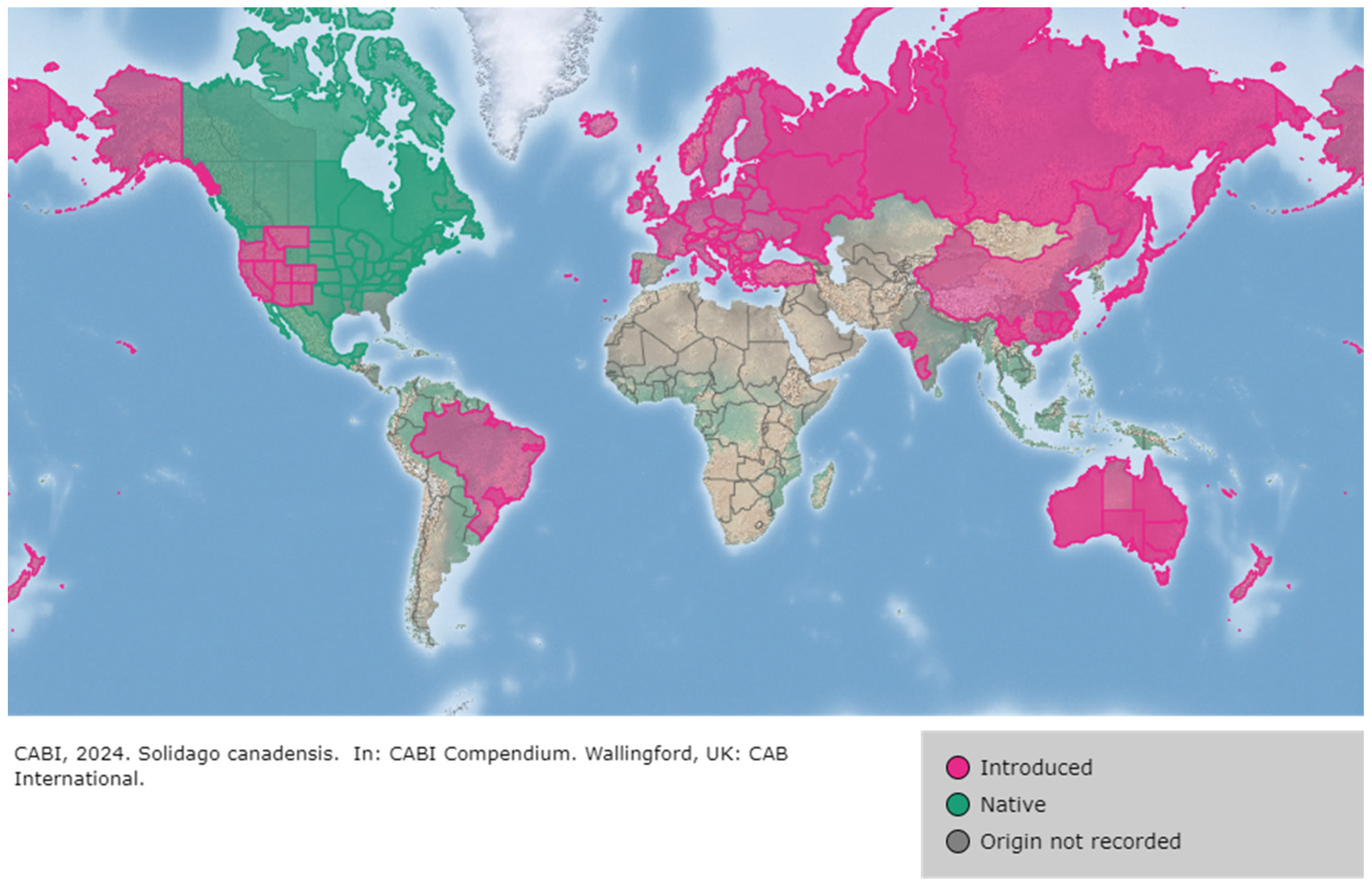 Plants 13 01745 g002 Plants 13 01745 g002