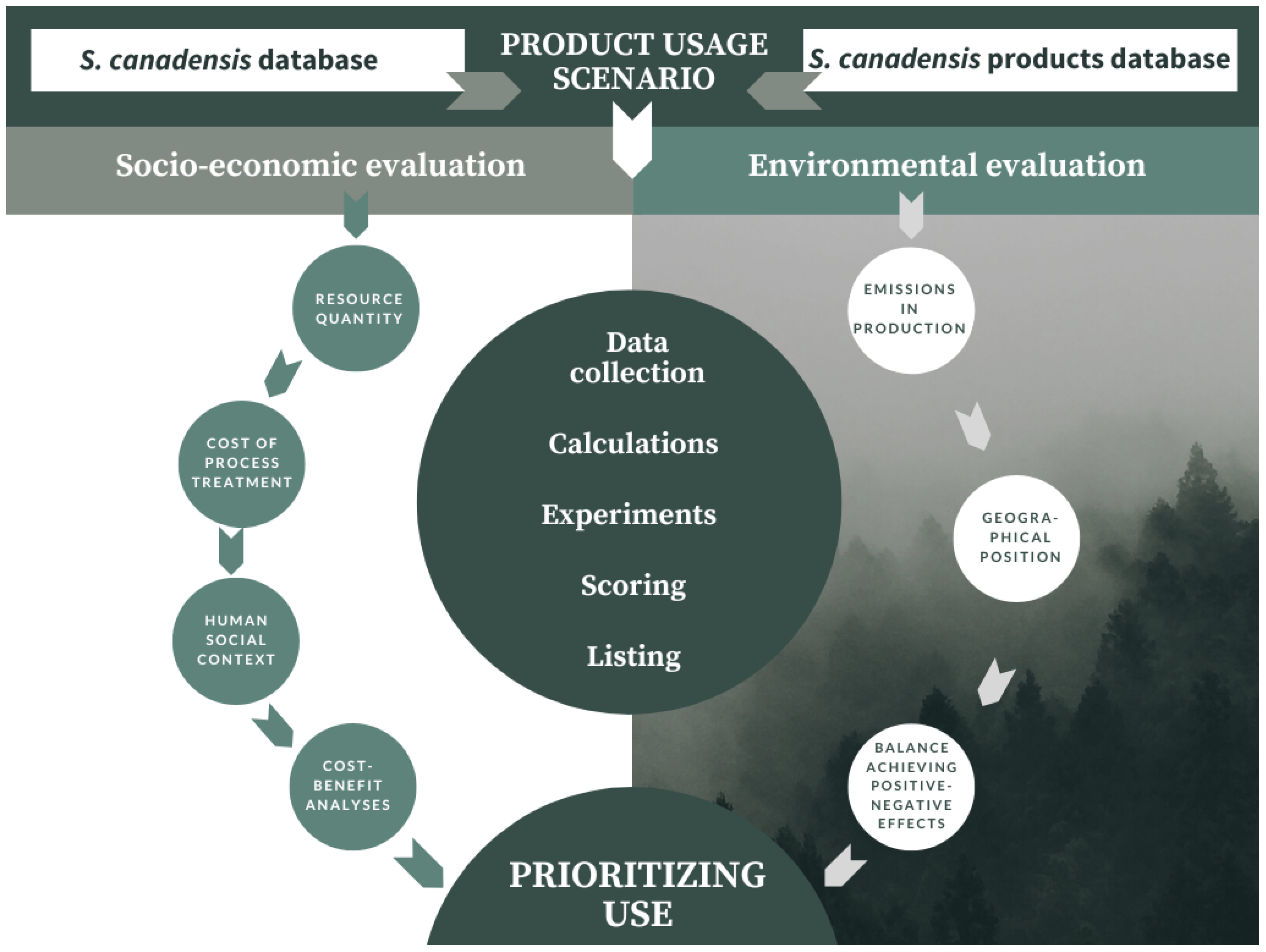 Plants 13 01745 g003 Plants 13 01745 g003