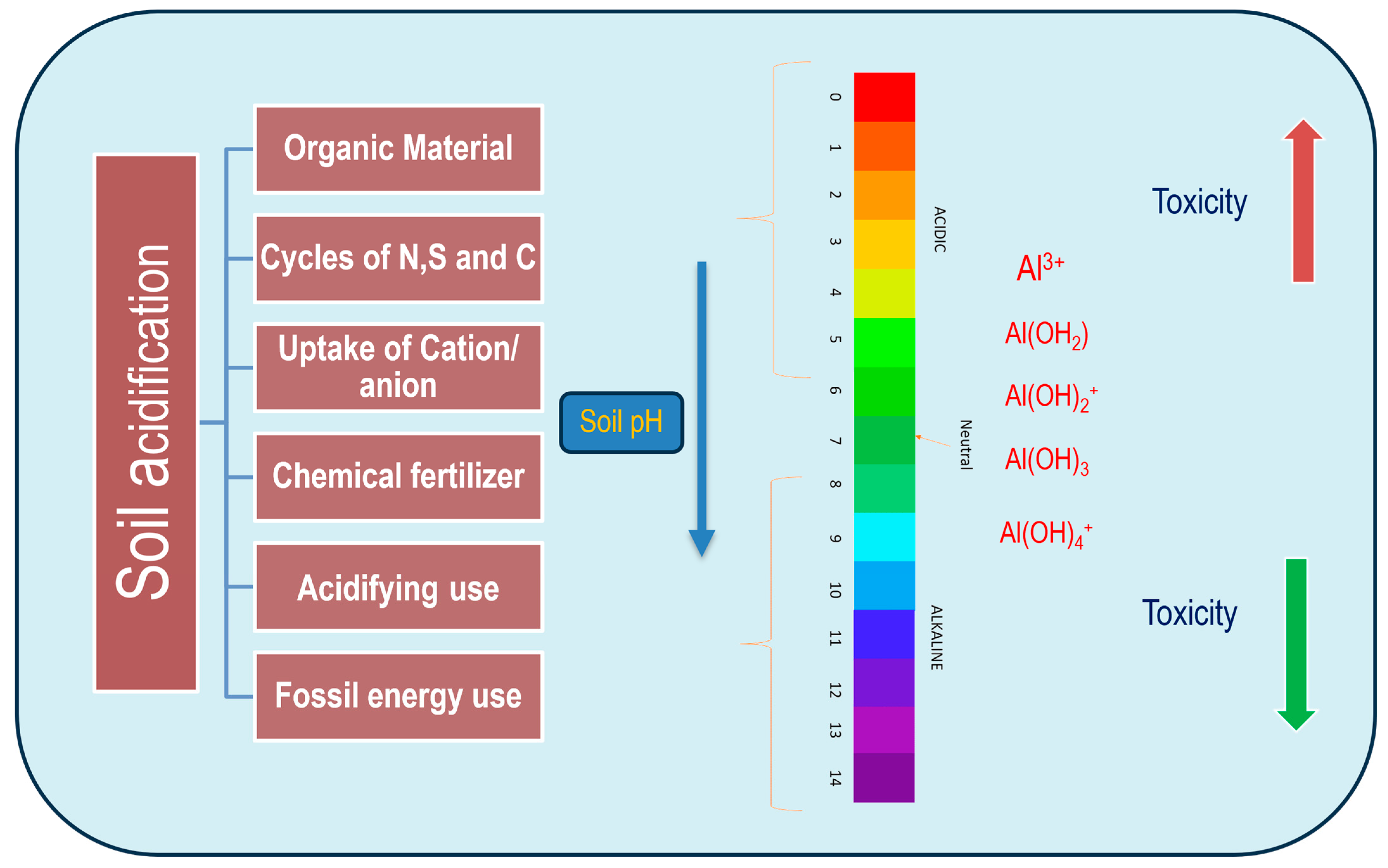 Plants 13 01760 g001